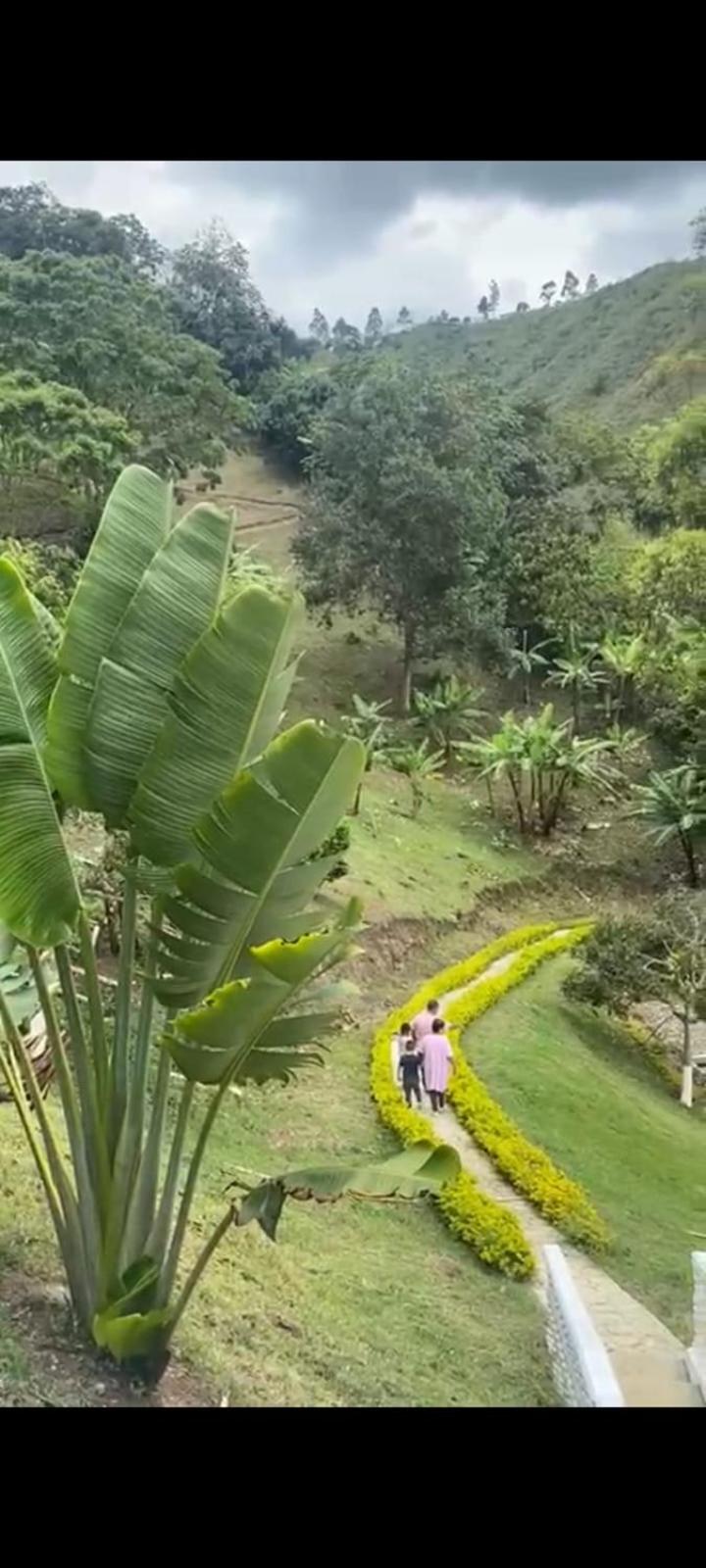 Finca la Galicia.
