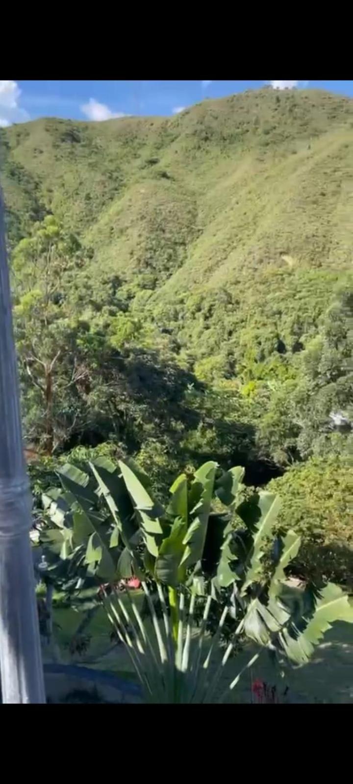 Finca la Galicia.