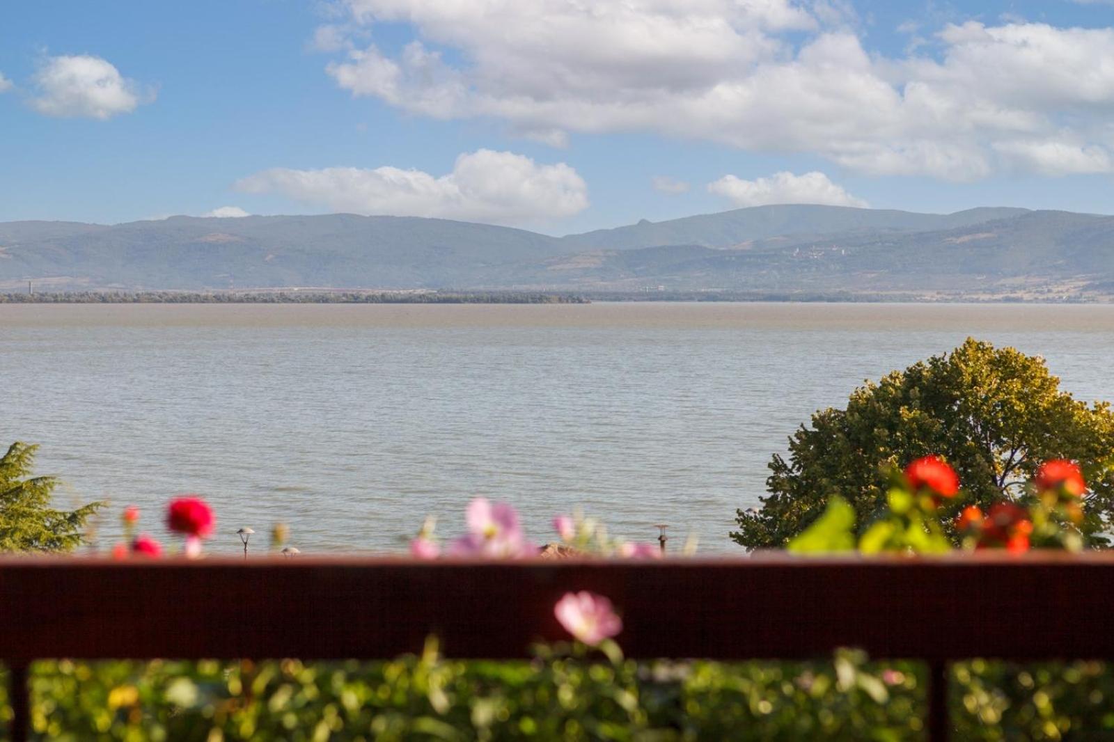 Apartman Amore Mio Golubac view 5