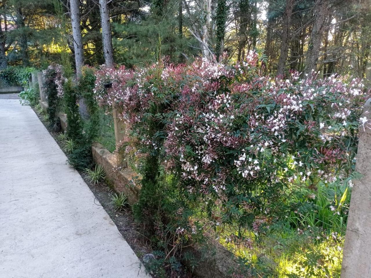 A VIDA É BELLA - Gramado RS view 2