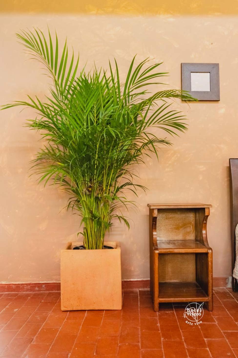 Hotel Vivero Arte Vivo I Quindío I Eje Cafetero