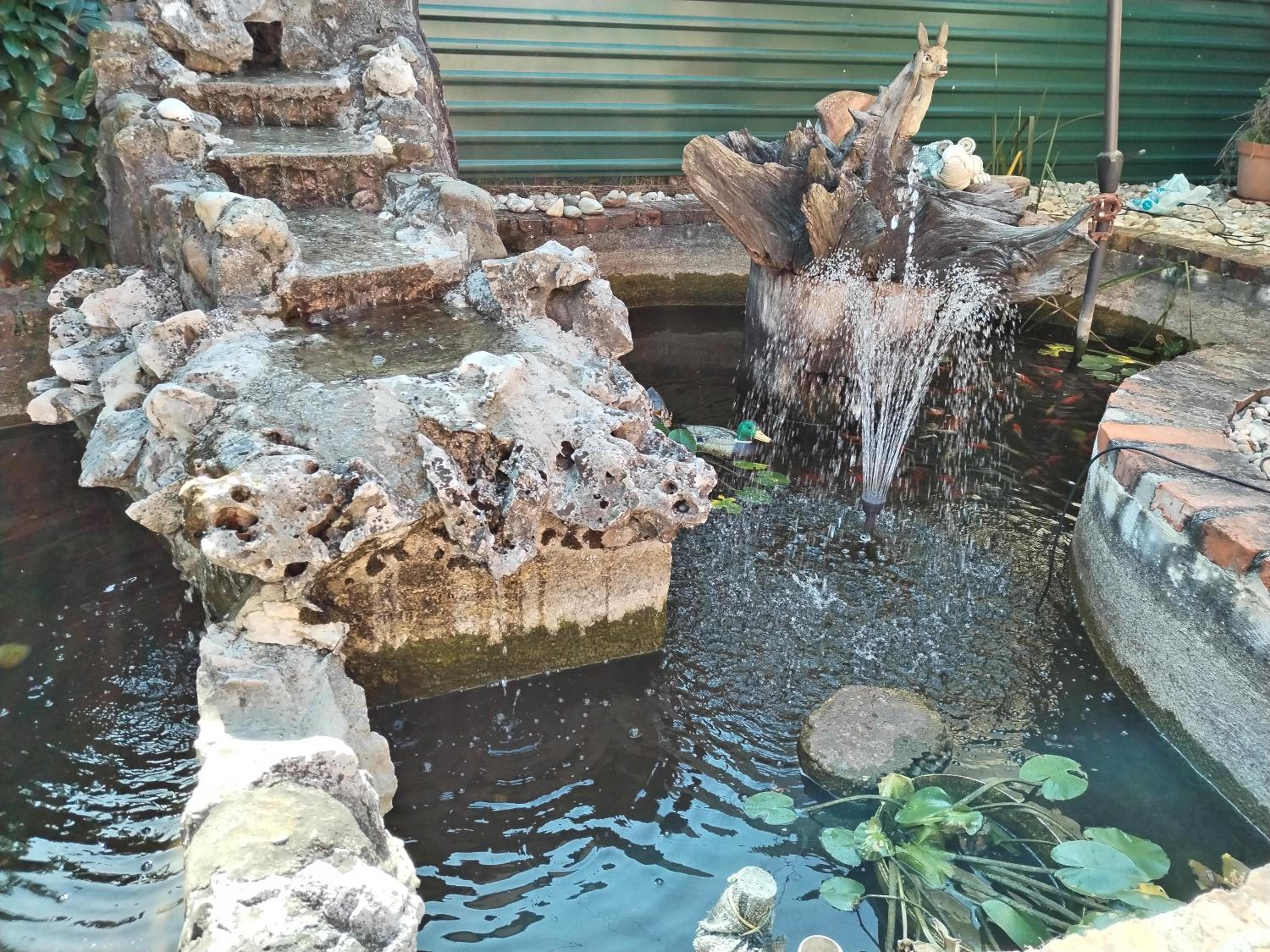 Photo 34