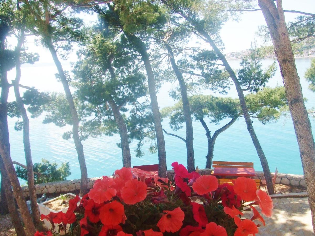Apartments Villa Jelas view 2