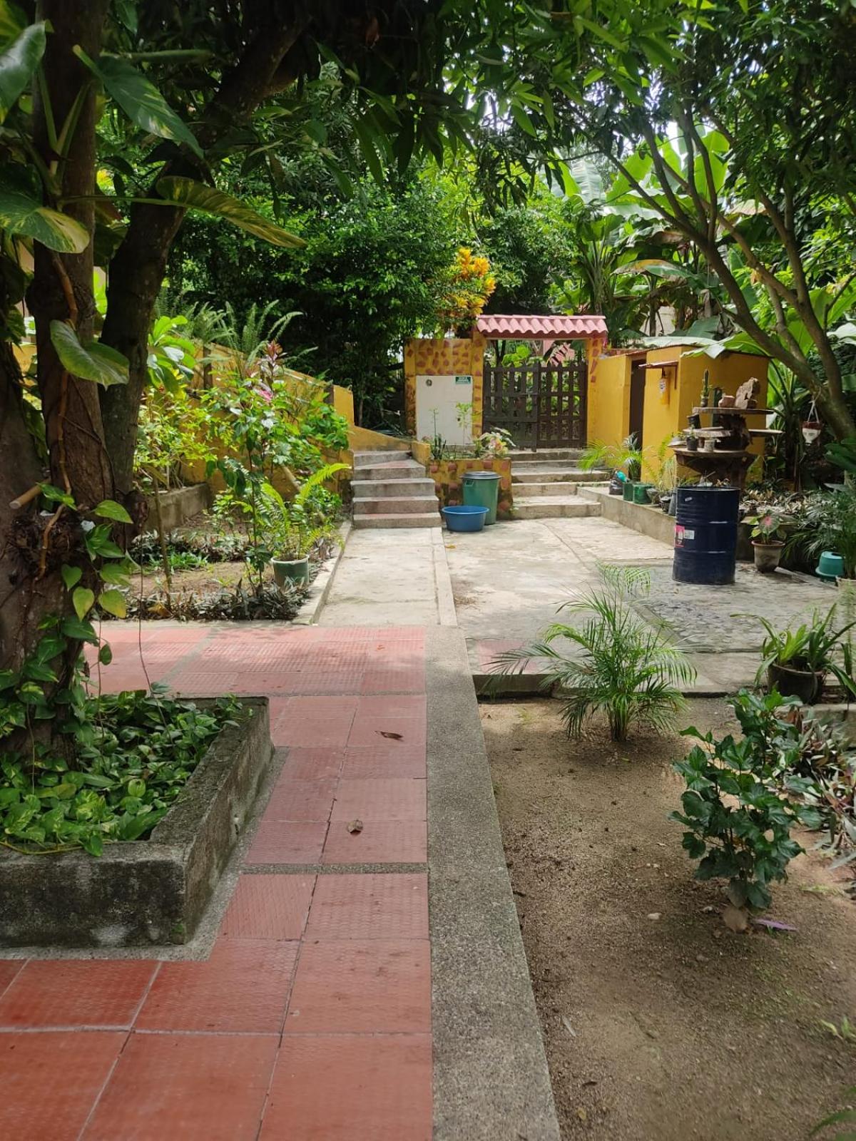 Mi Refugio Tayrona
