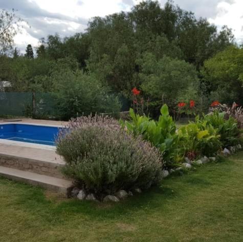 Los Aromos