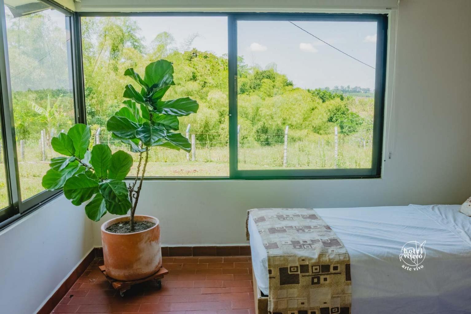 Hotel Vivero Arte Vivo I Quindío I Eje Cafetero