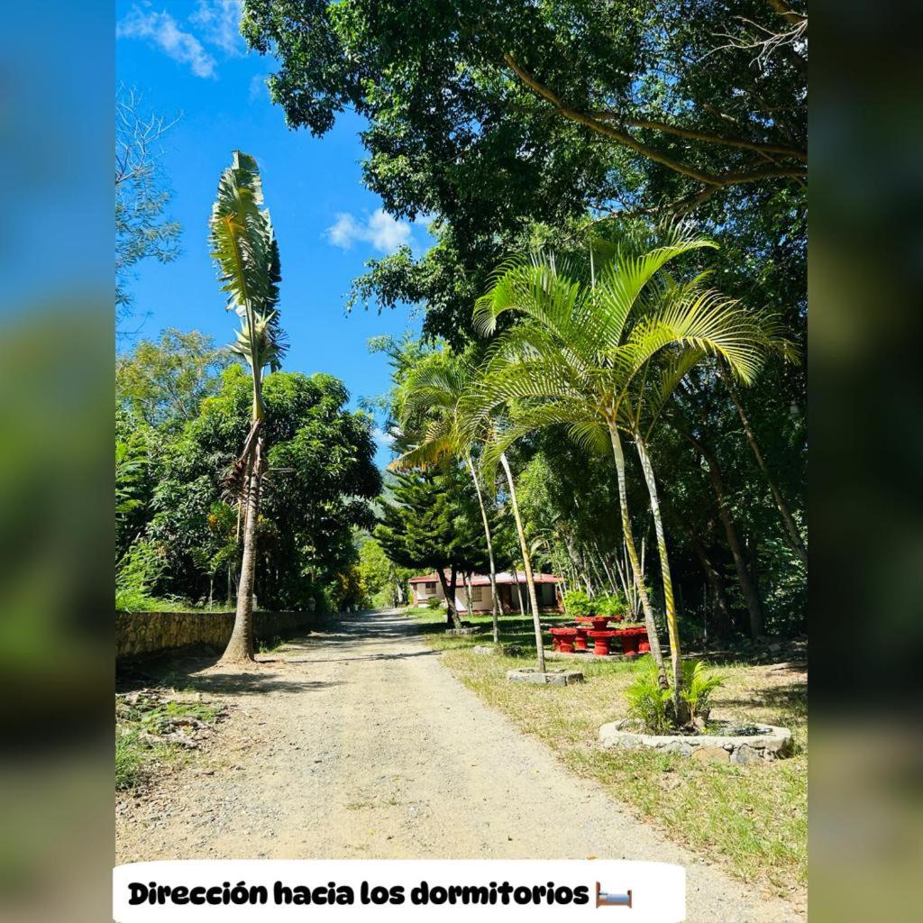 Villa La Montaña