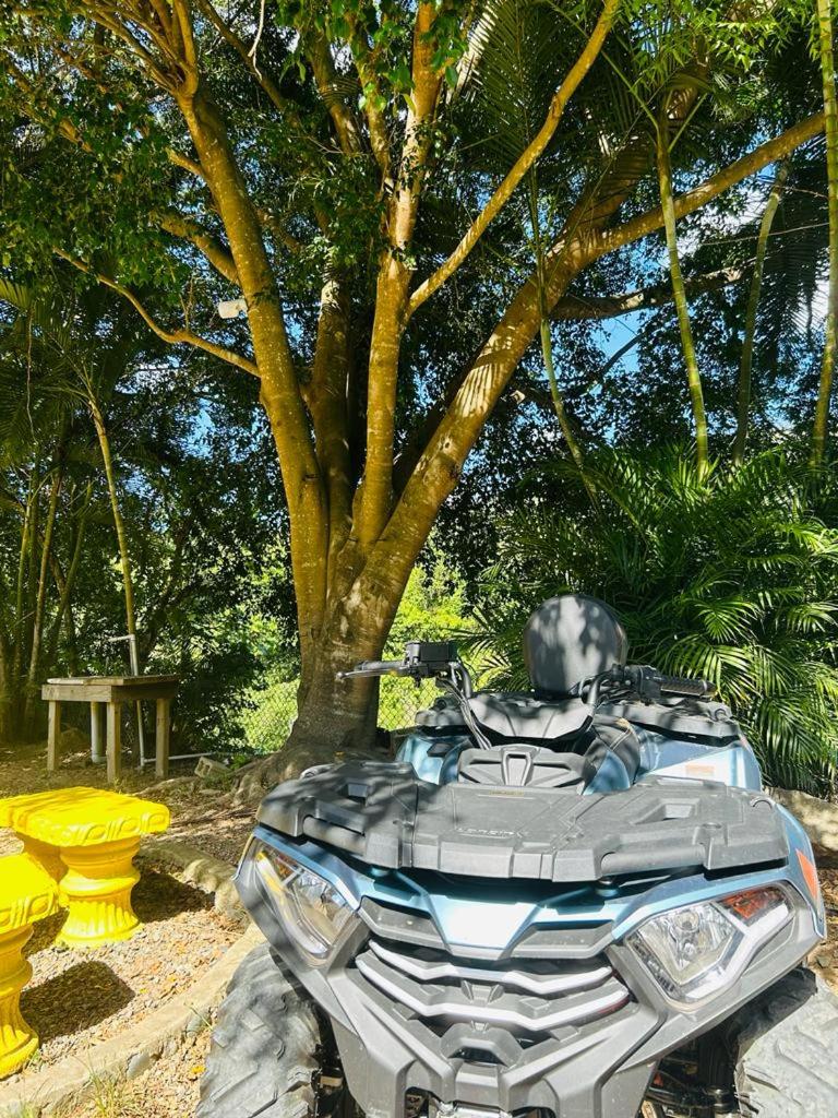 Villa La Montaña