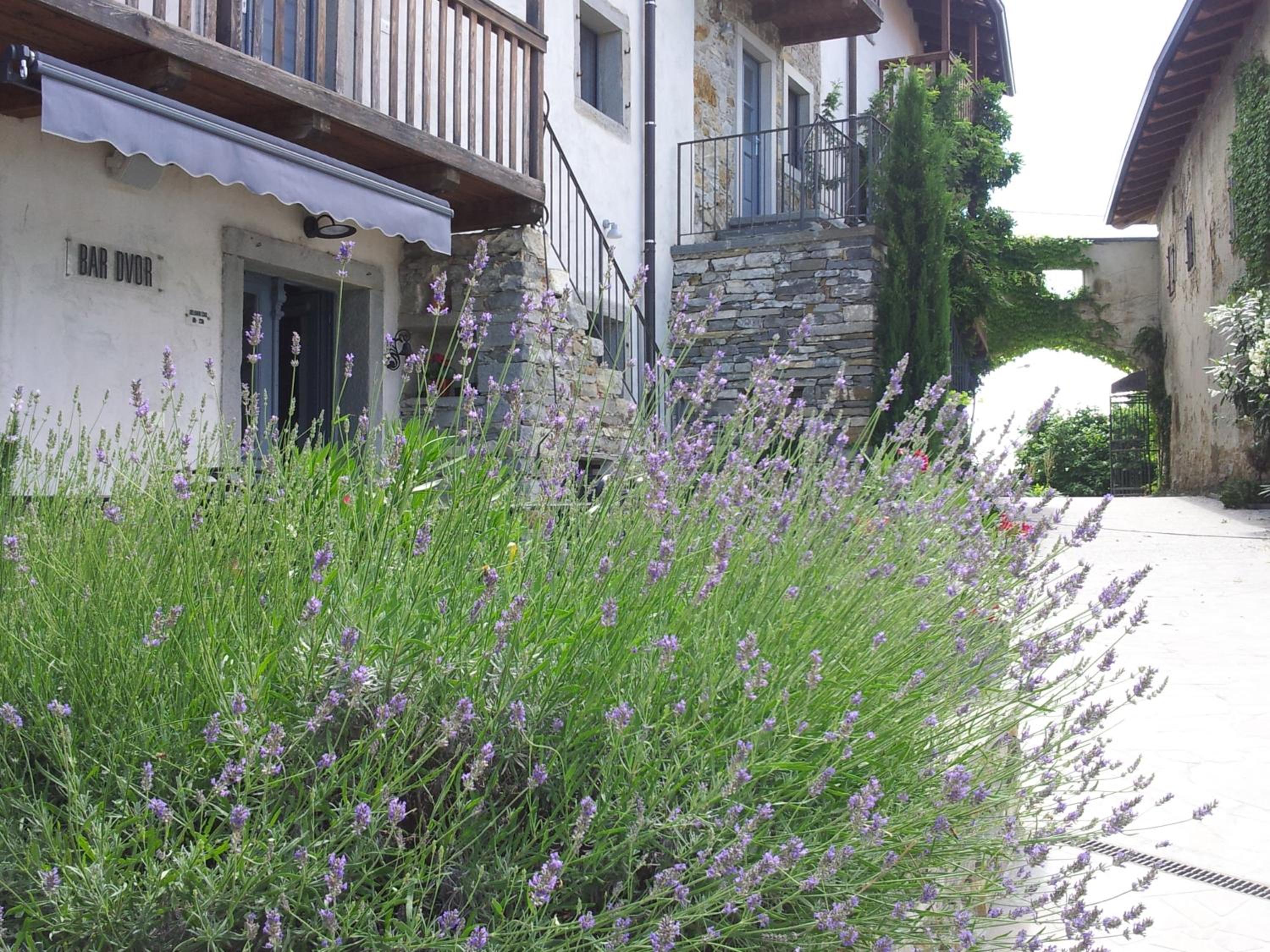 Boutique Hotel Dvor
