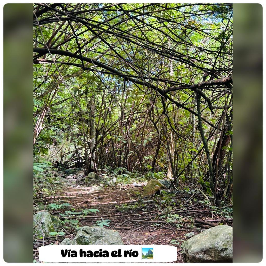 Villa La Montaña