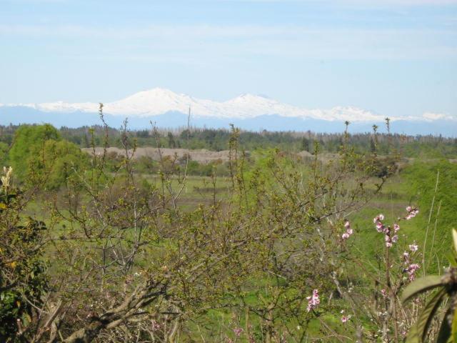 Cabaña Quillón El Campito