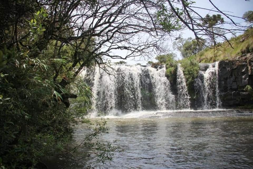Pousada Recanto da Cascata - Cabana Liquidambar