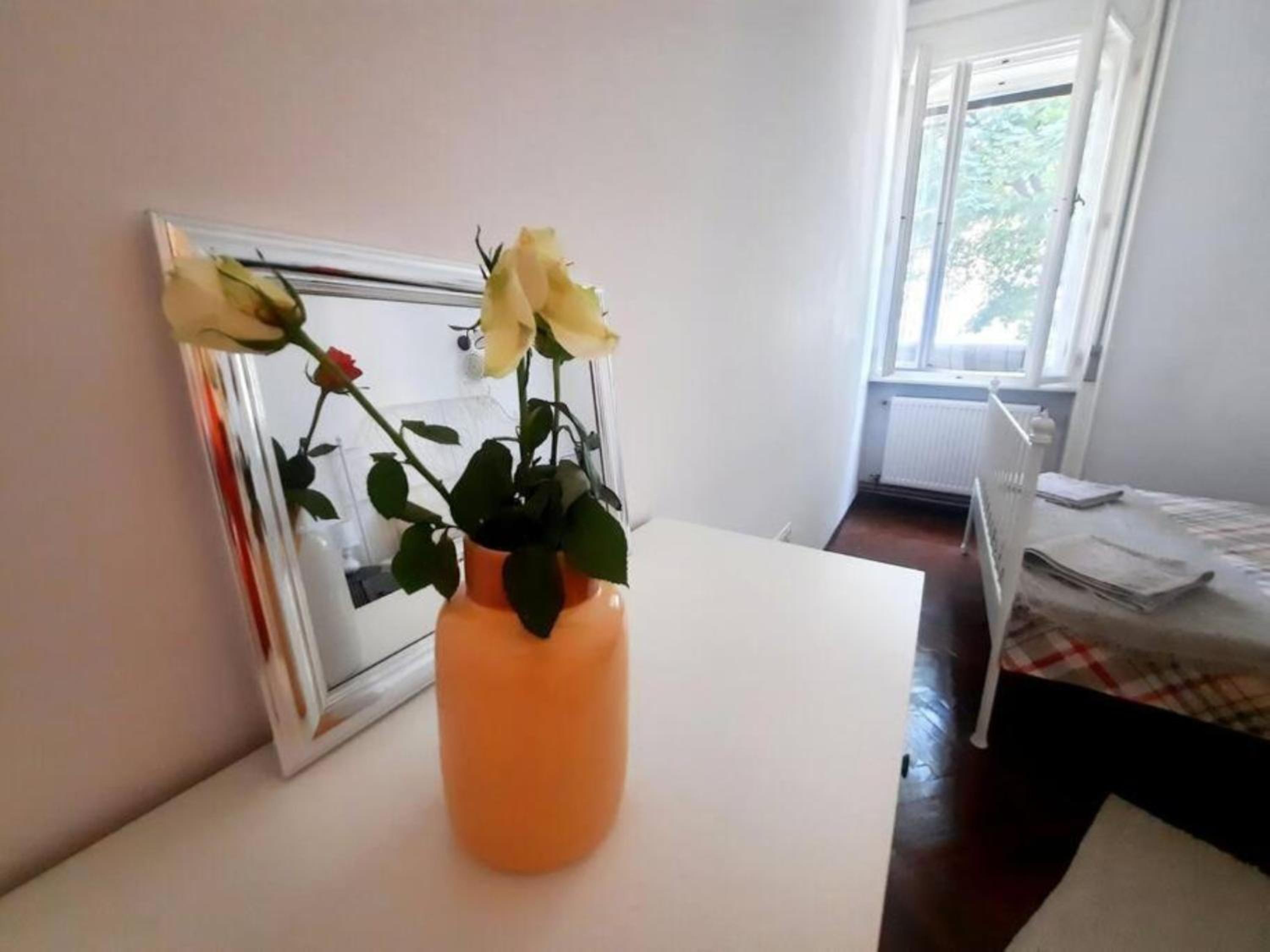 Timisoara Central 2 Bedroom Hotel Serviced Belle Vue Apart By the Park