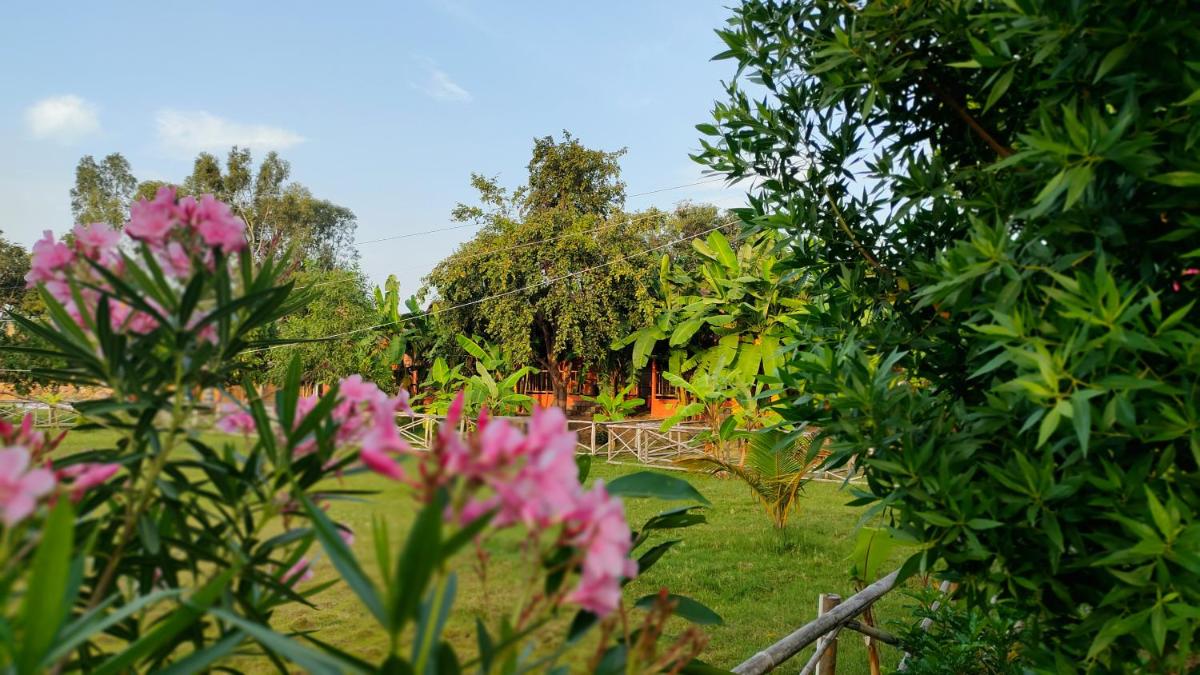 waterfall guesthouse view 2