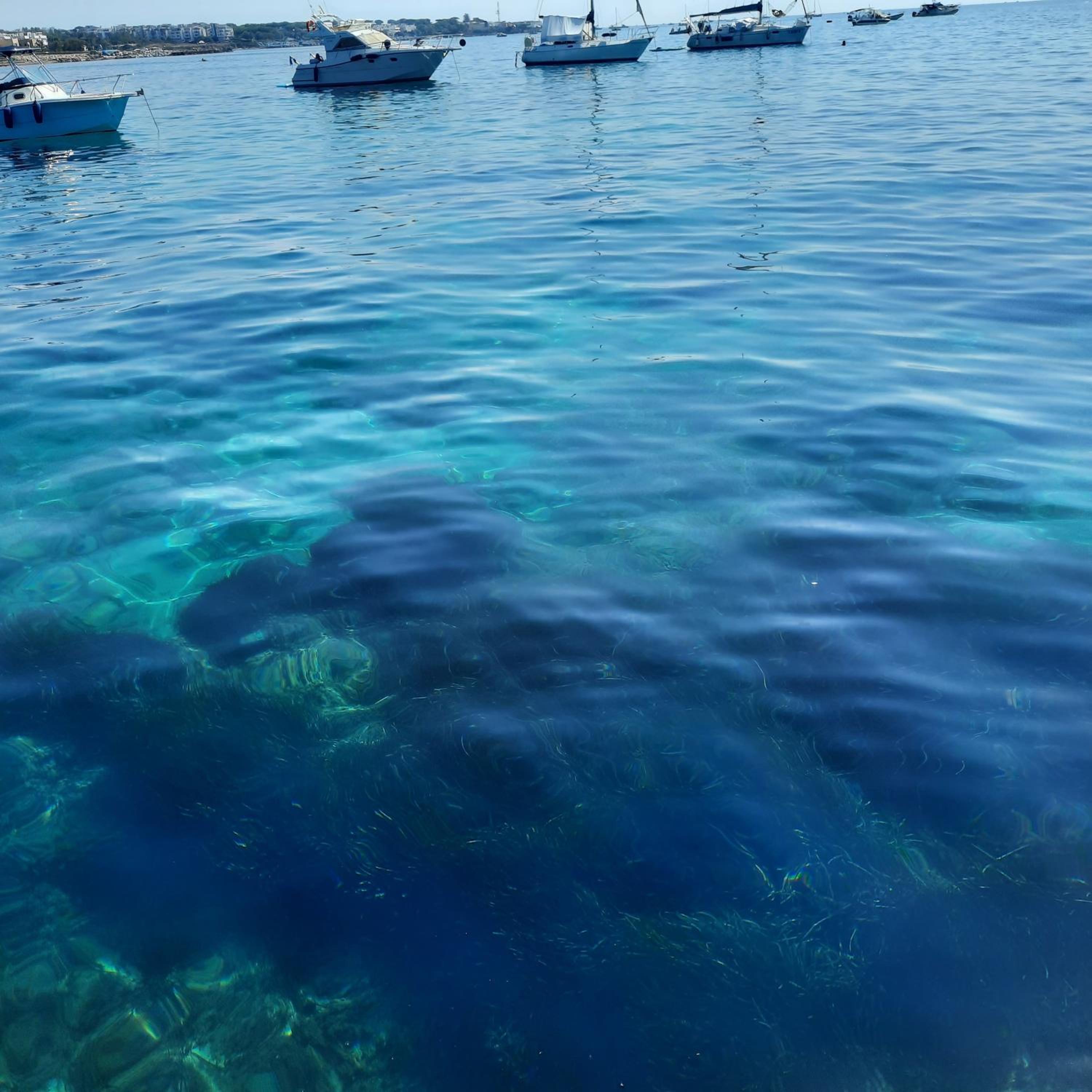 MARE FUORI APARTMENT