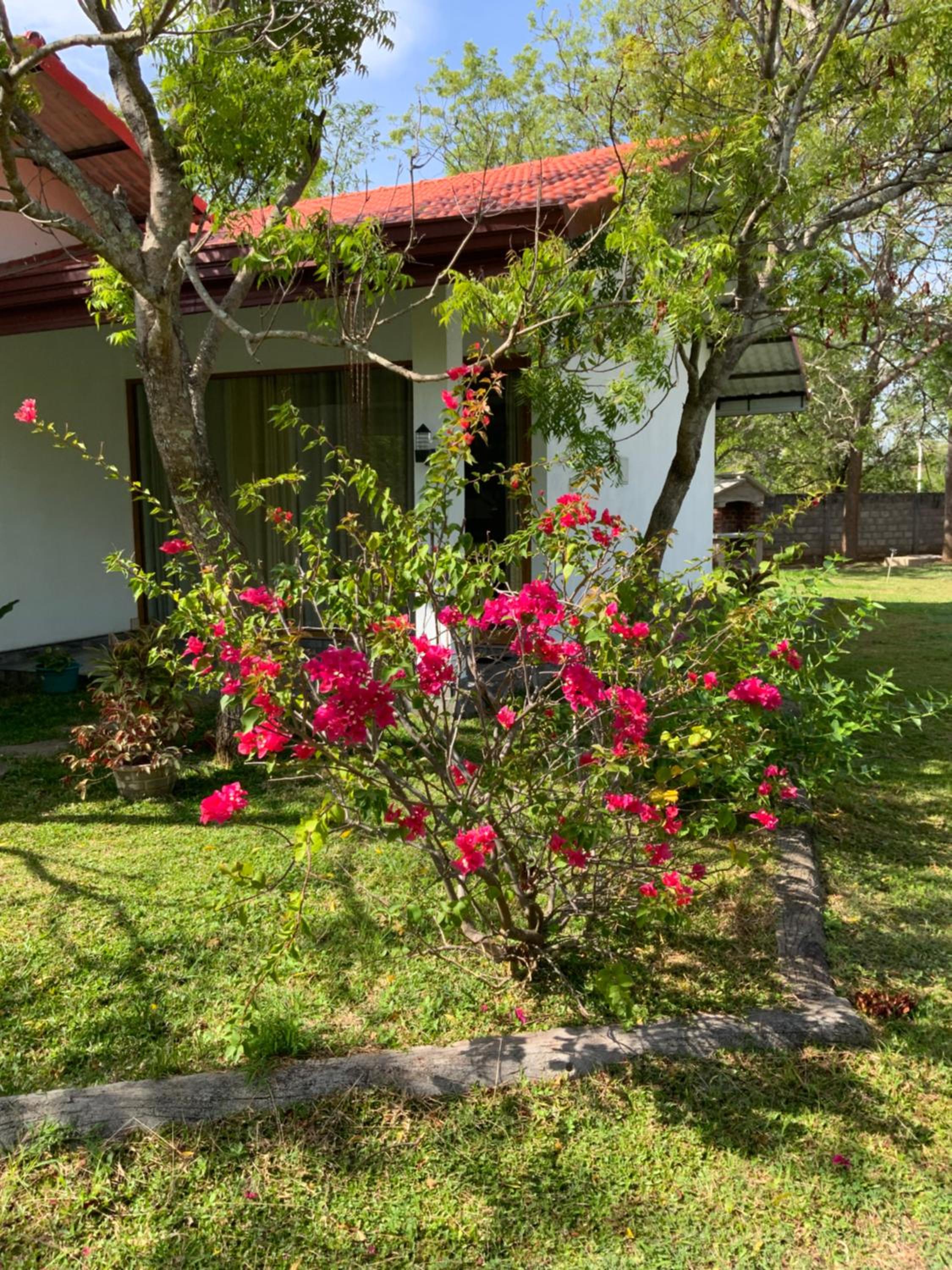 Nature Resort view 3