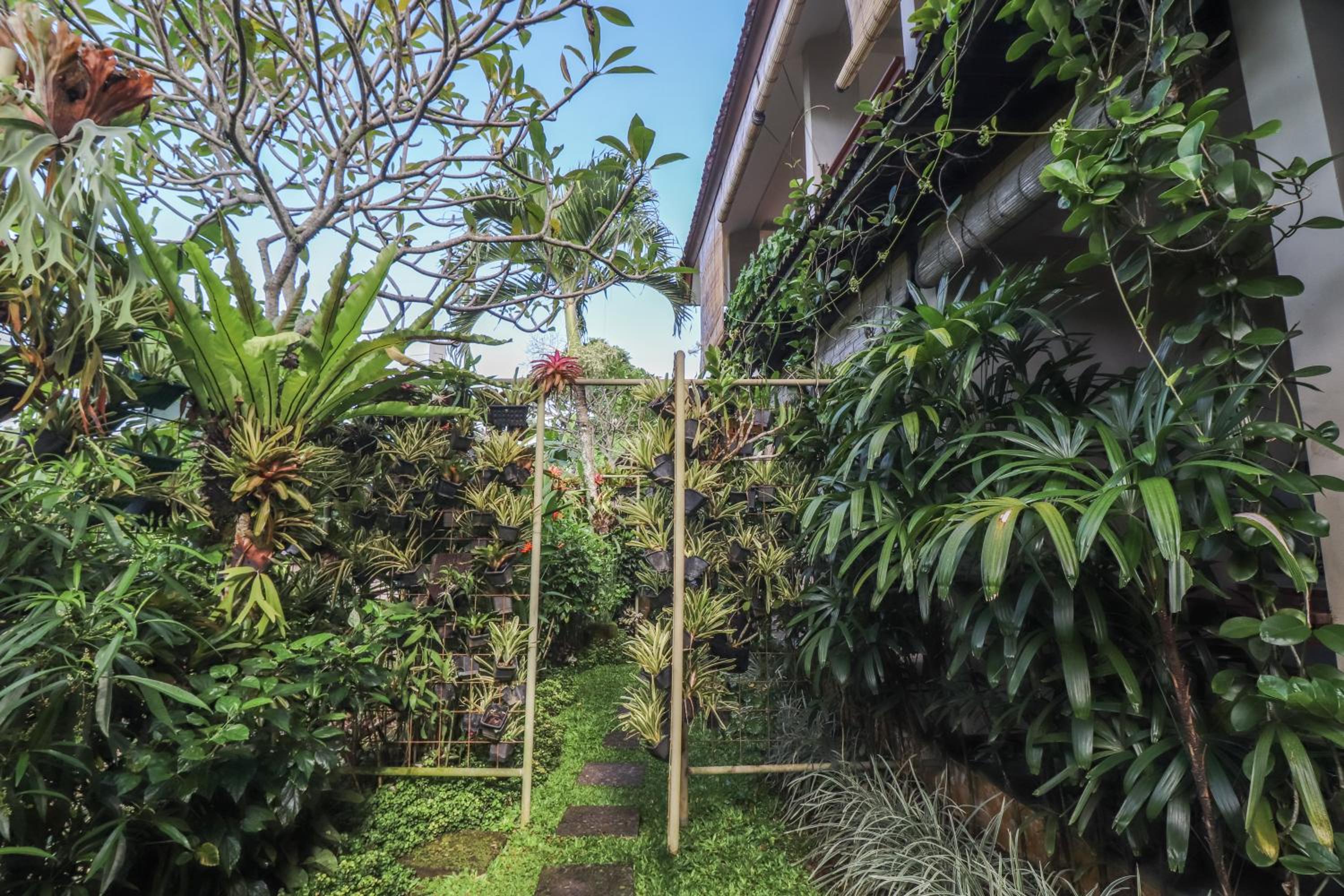 Rumah Taman