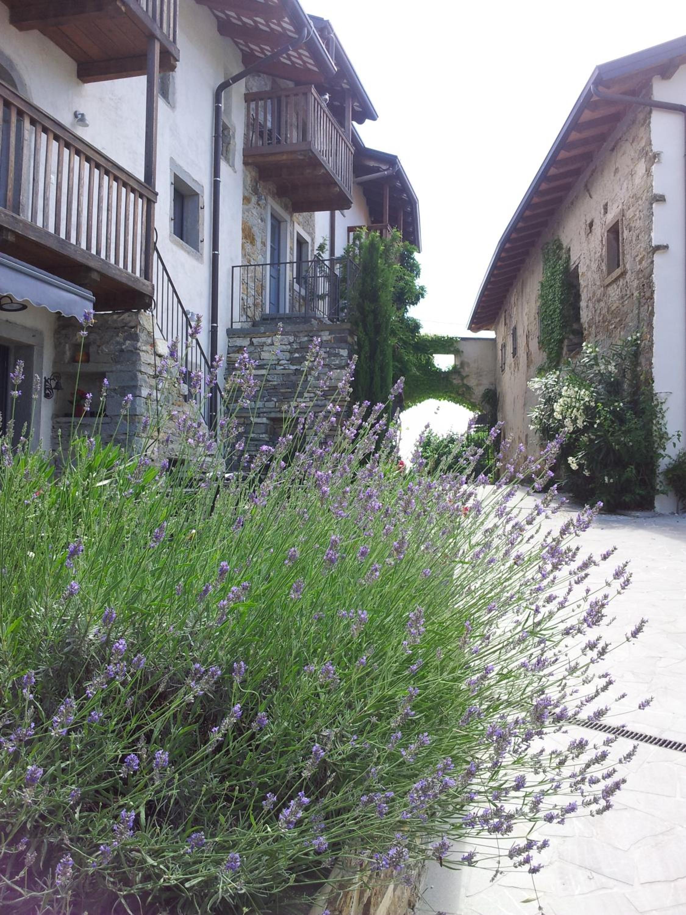 Boutique Hotel Dvor