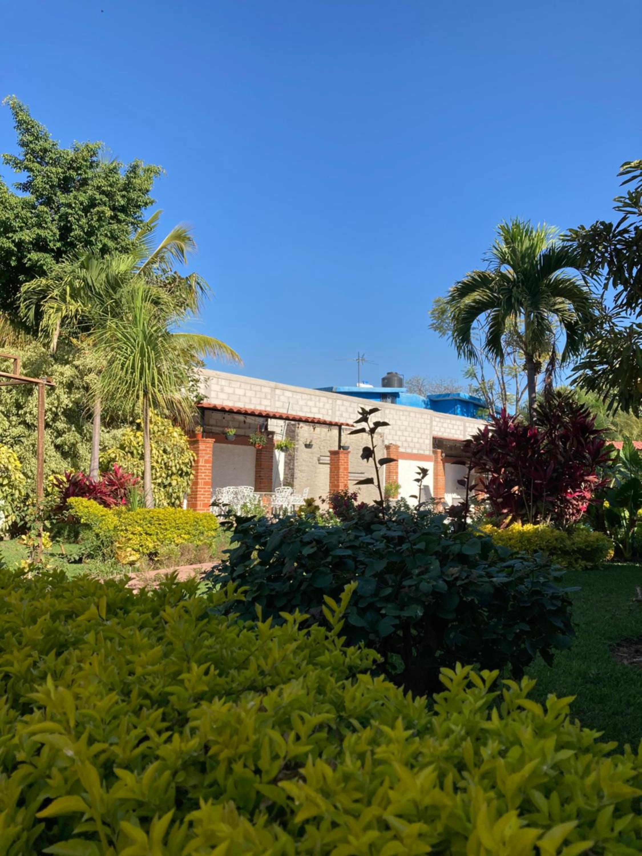 Quinta Doña Carlota view 4
