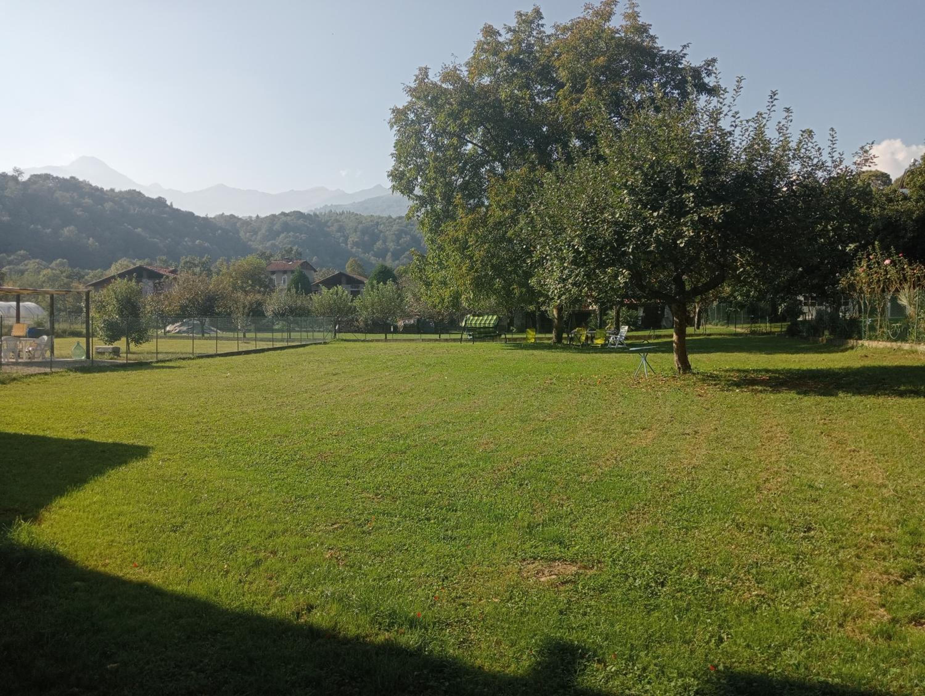 Photo 42