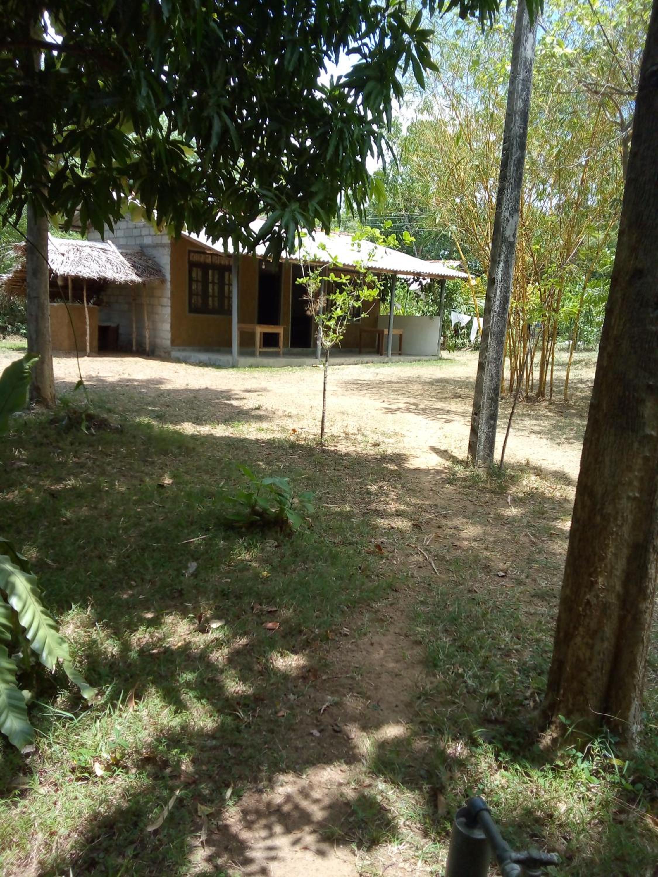 Photo 16
