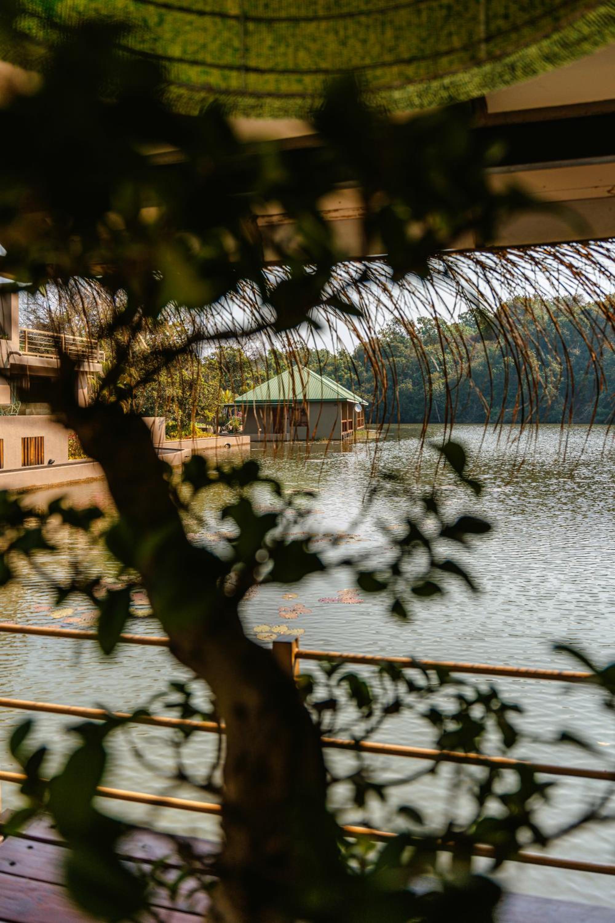 Bambuu Lakeside Lodge