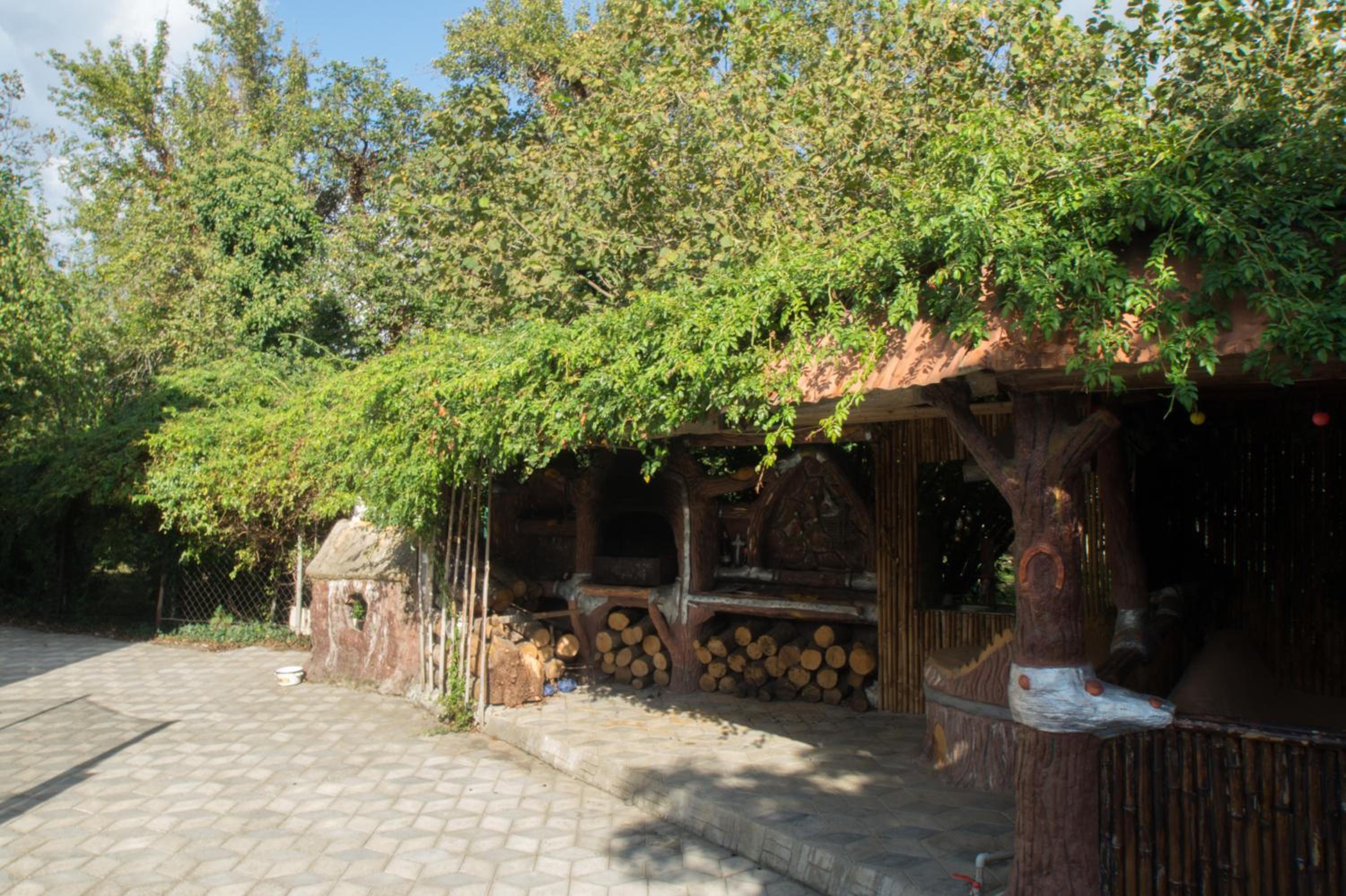 Photo 20