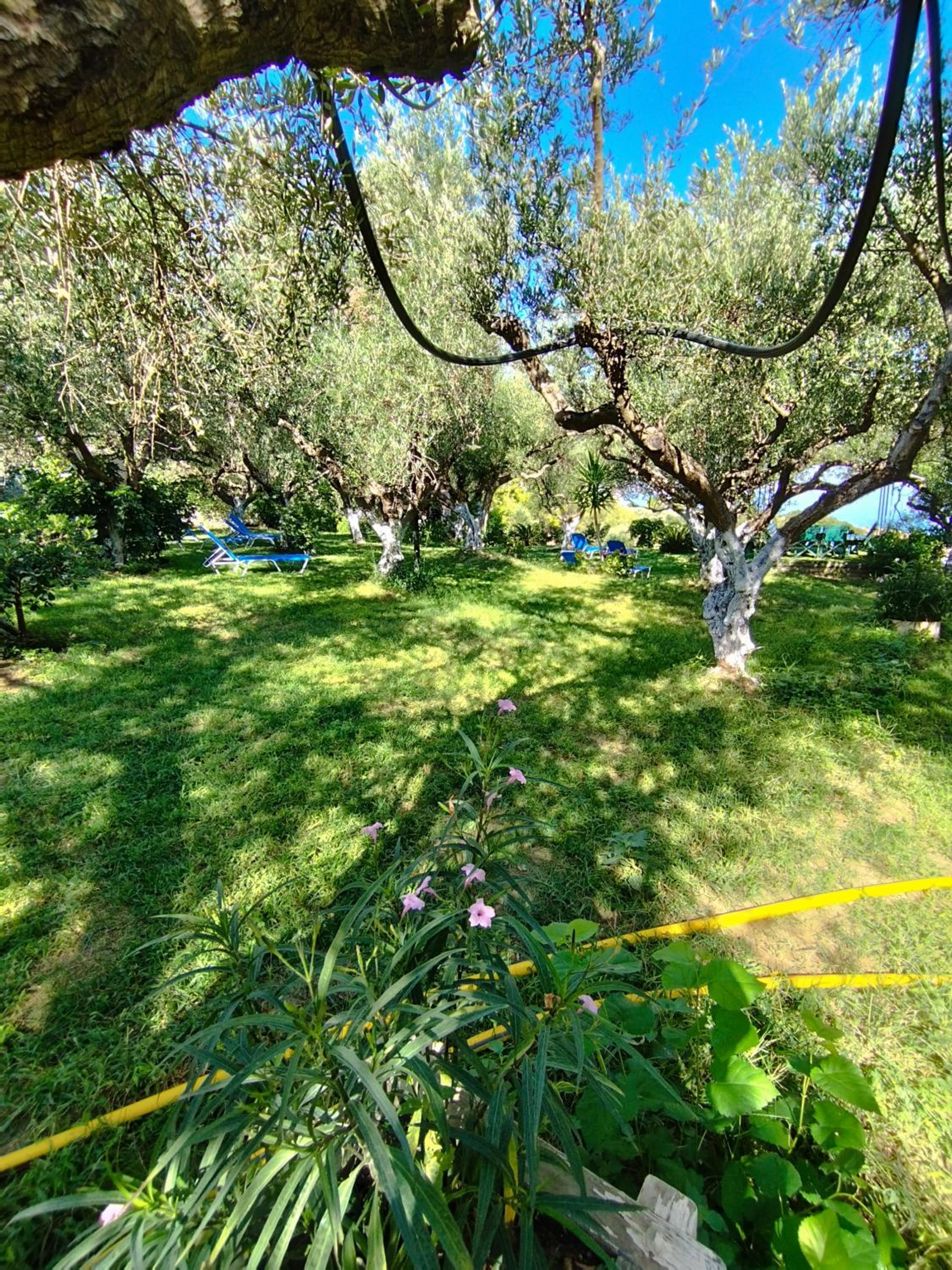 VILLA AGIA AIKATERINI