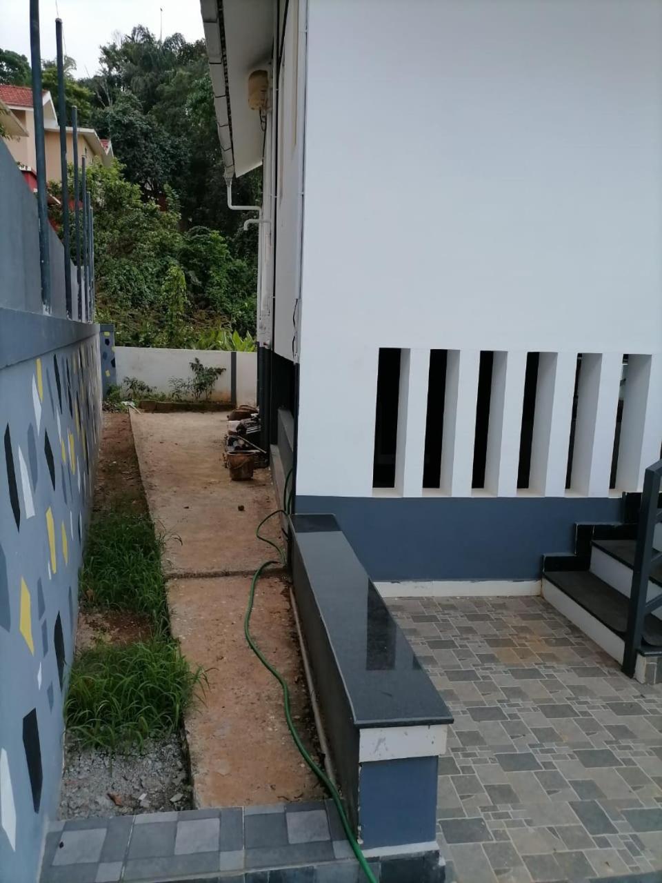 MOUNTAIN HIVE view 2