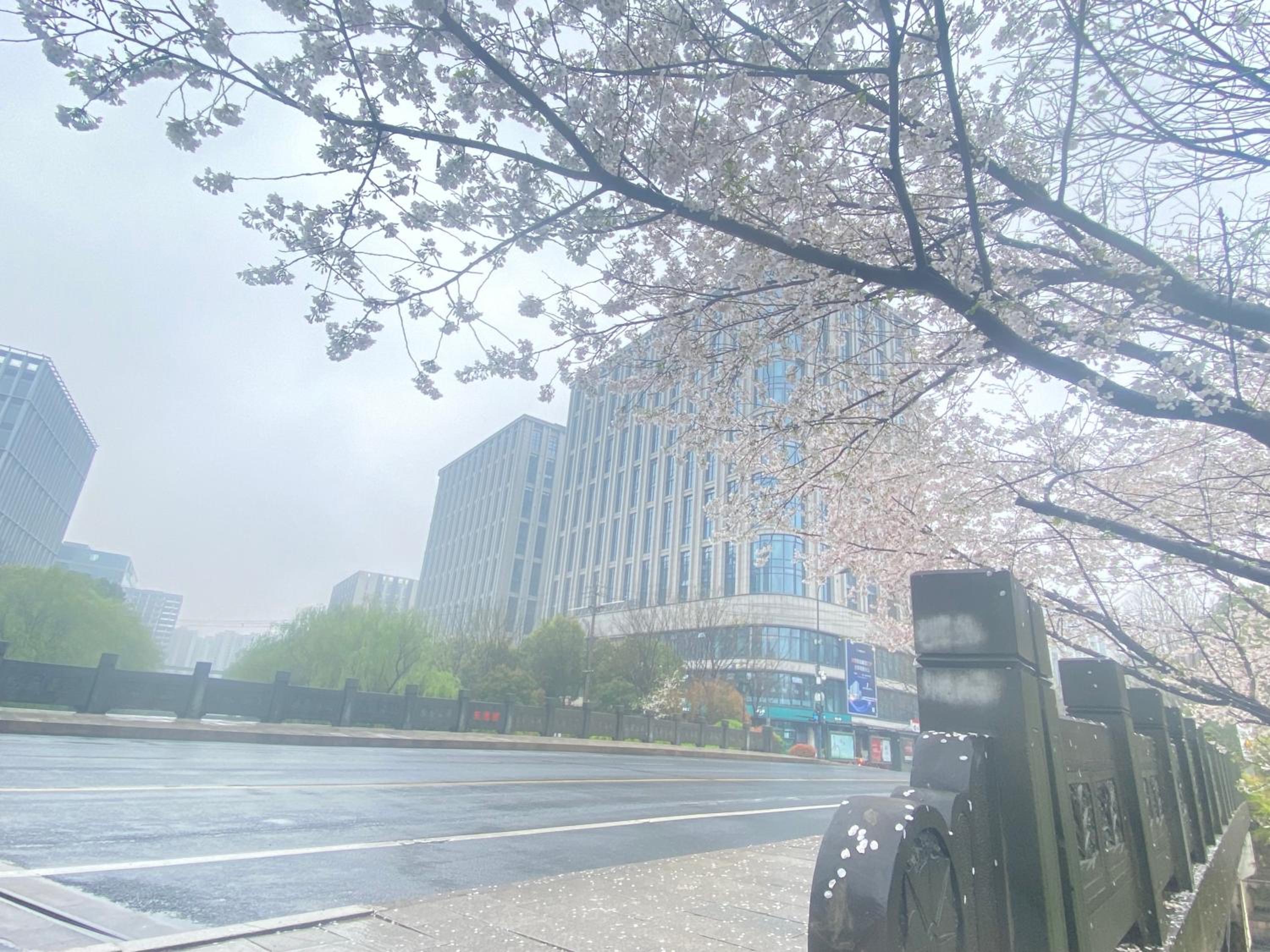 Chengdong Yishu Inn Youth Hostel