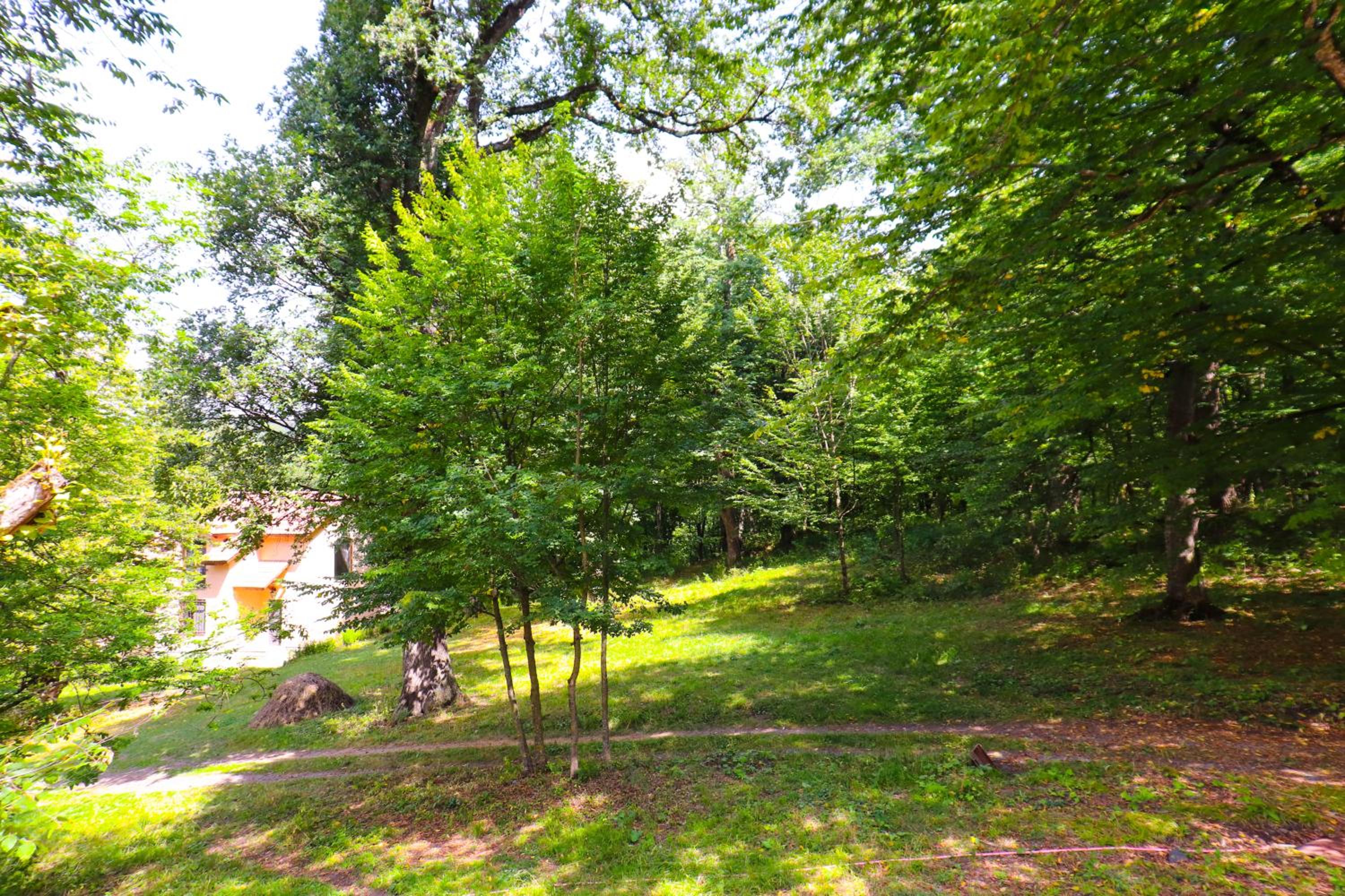 Dilijan Dream House 1