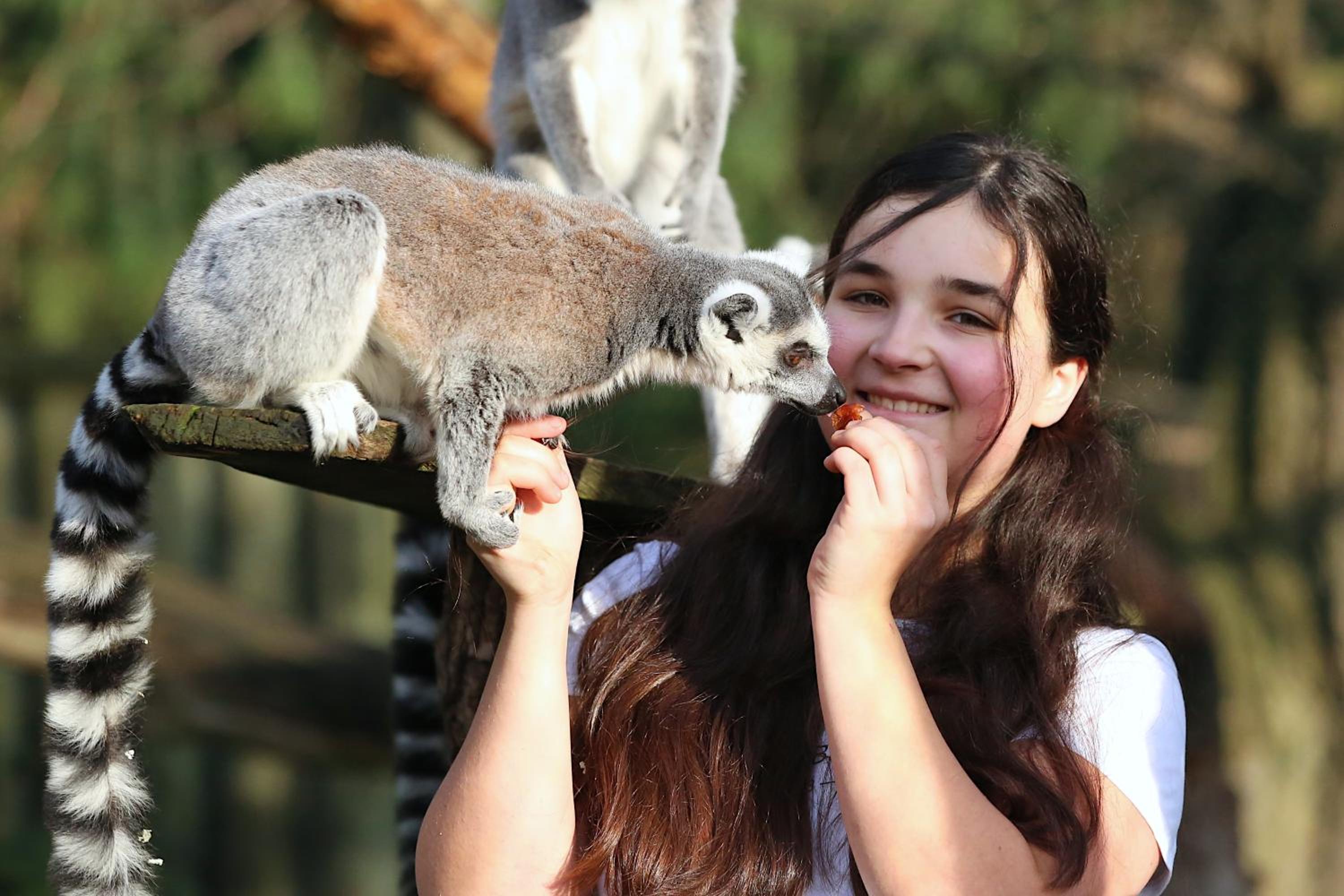 Tierpark Entdeckerhäuser