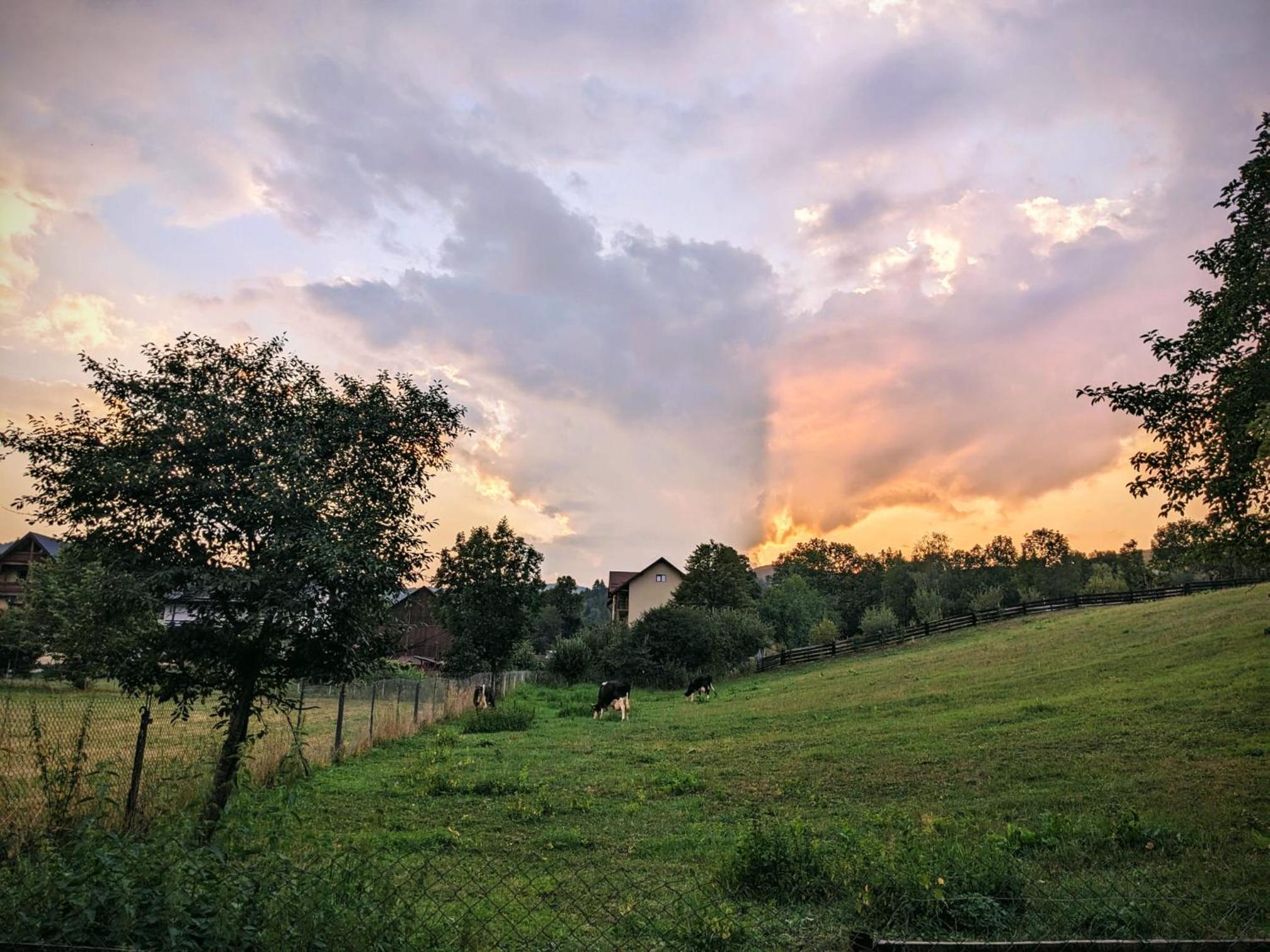 Casuta din Gradina view 3