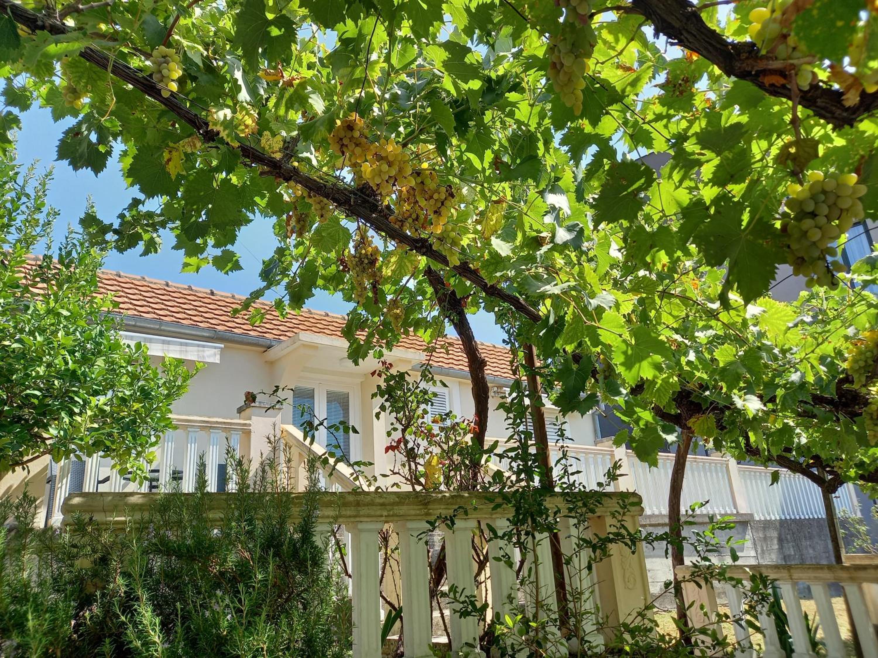 Apartman Maslovar