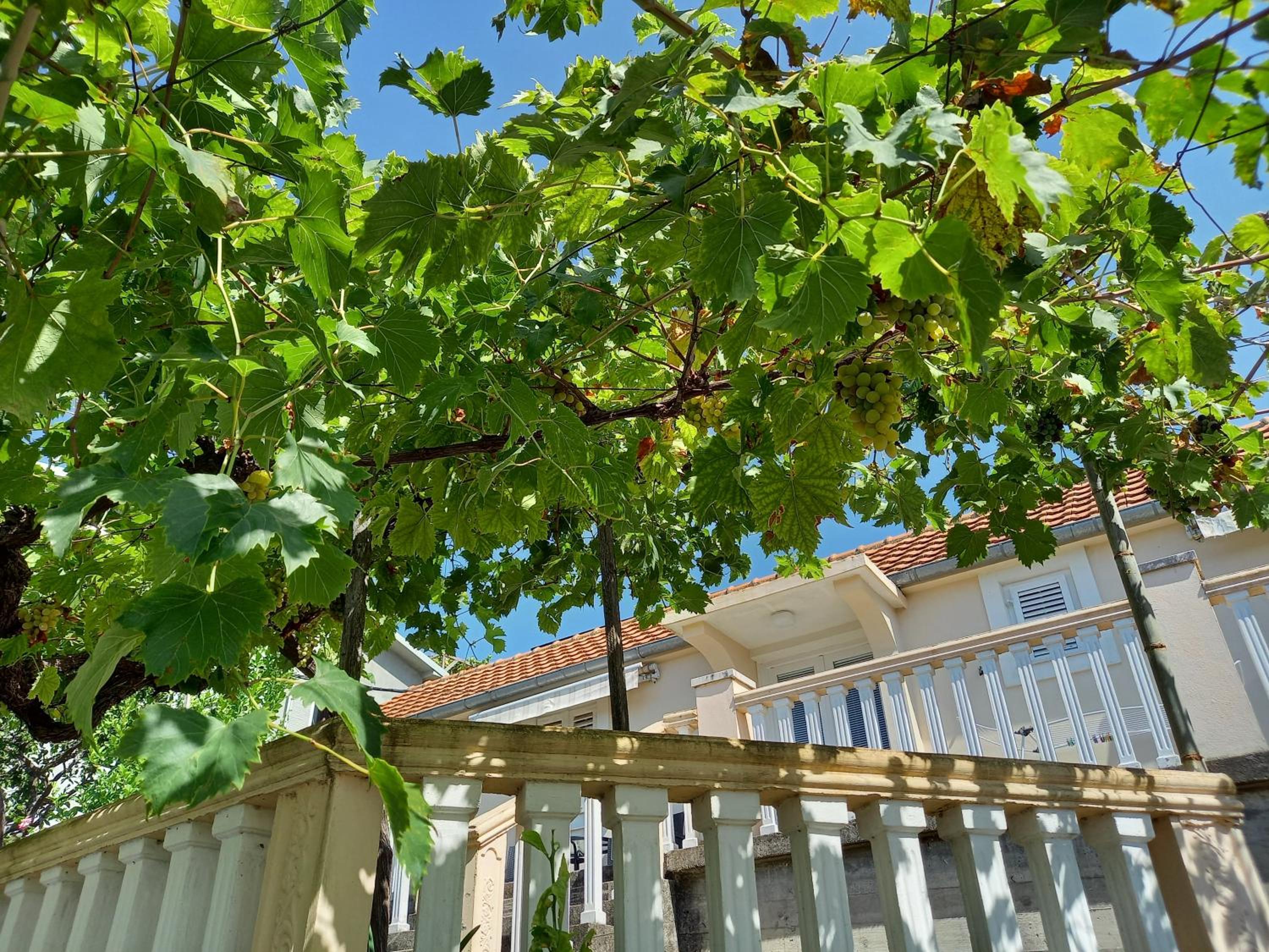Apartman Maslovar