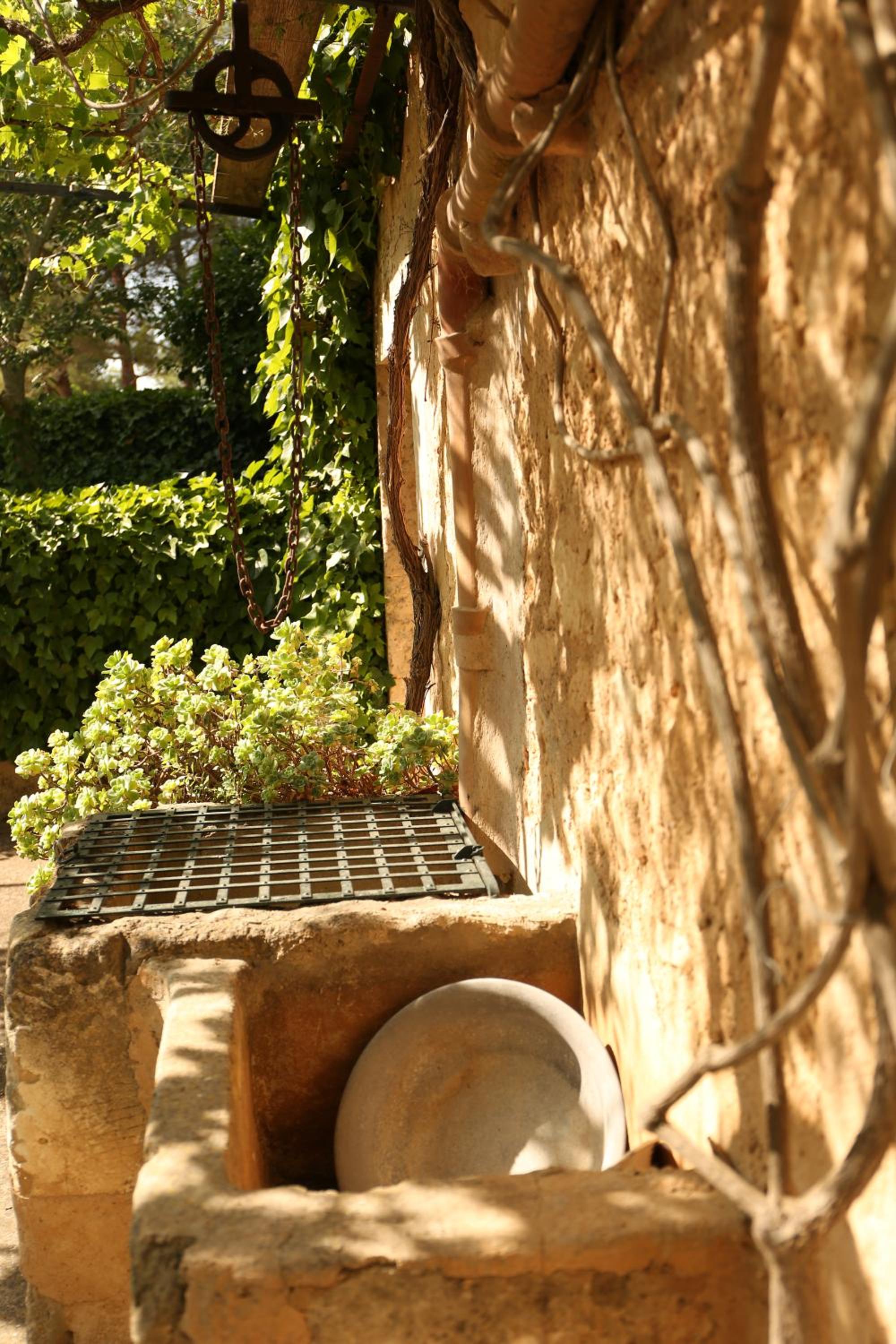 Photo 47