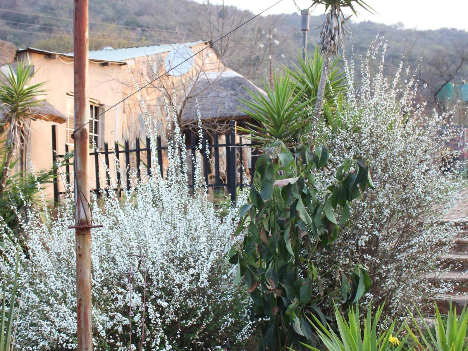 Emahlathini Guest Farm
