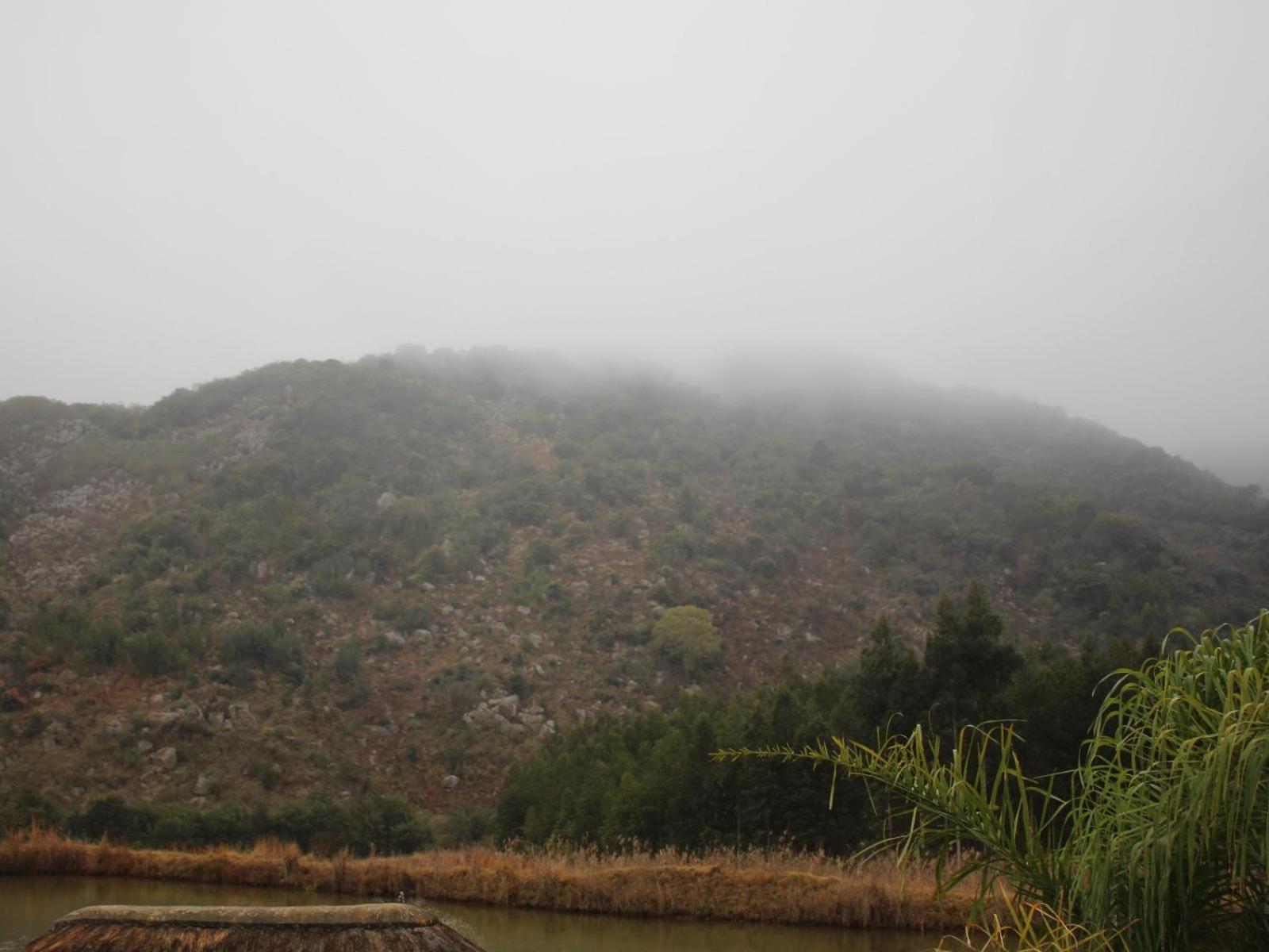 Emahlathini Guest Farm