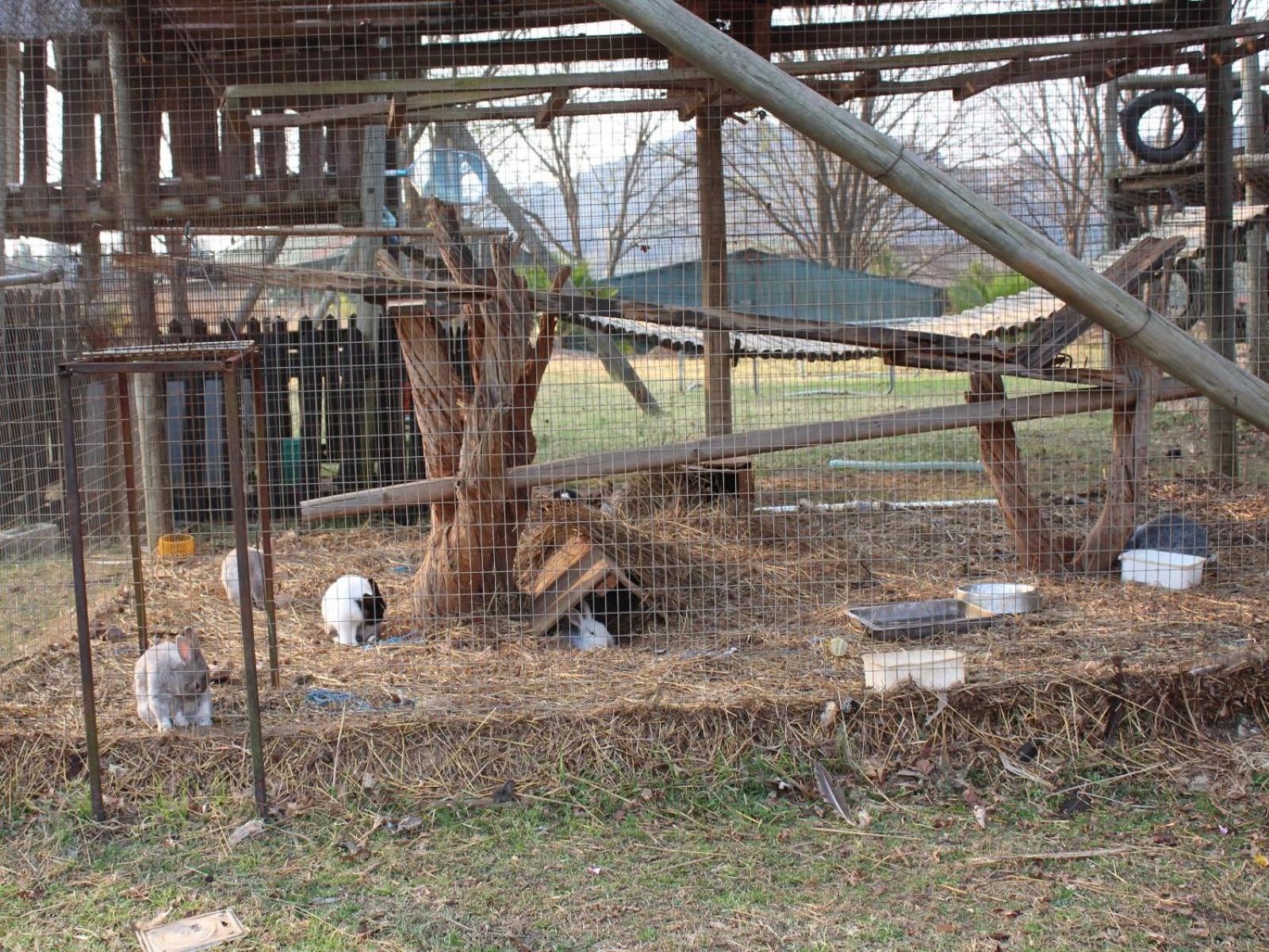 Emahlathini Guest Farm