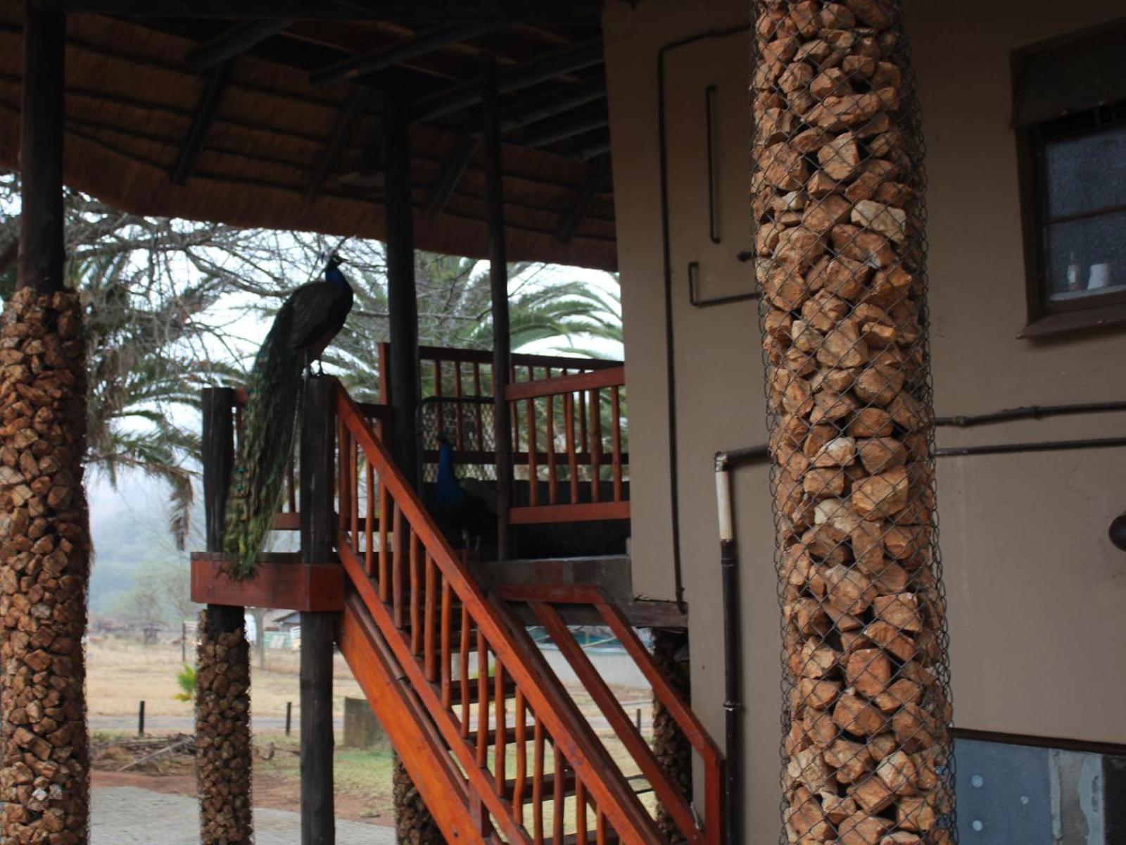 Emahlathini Guest Farm