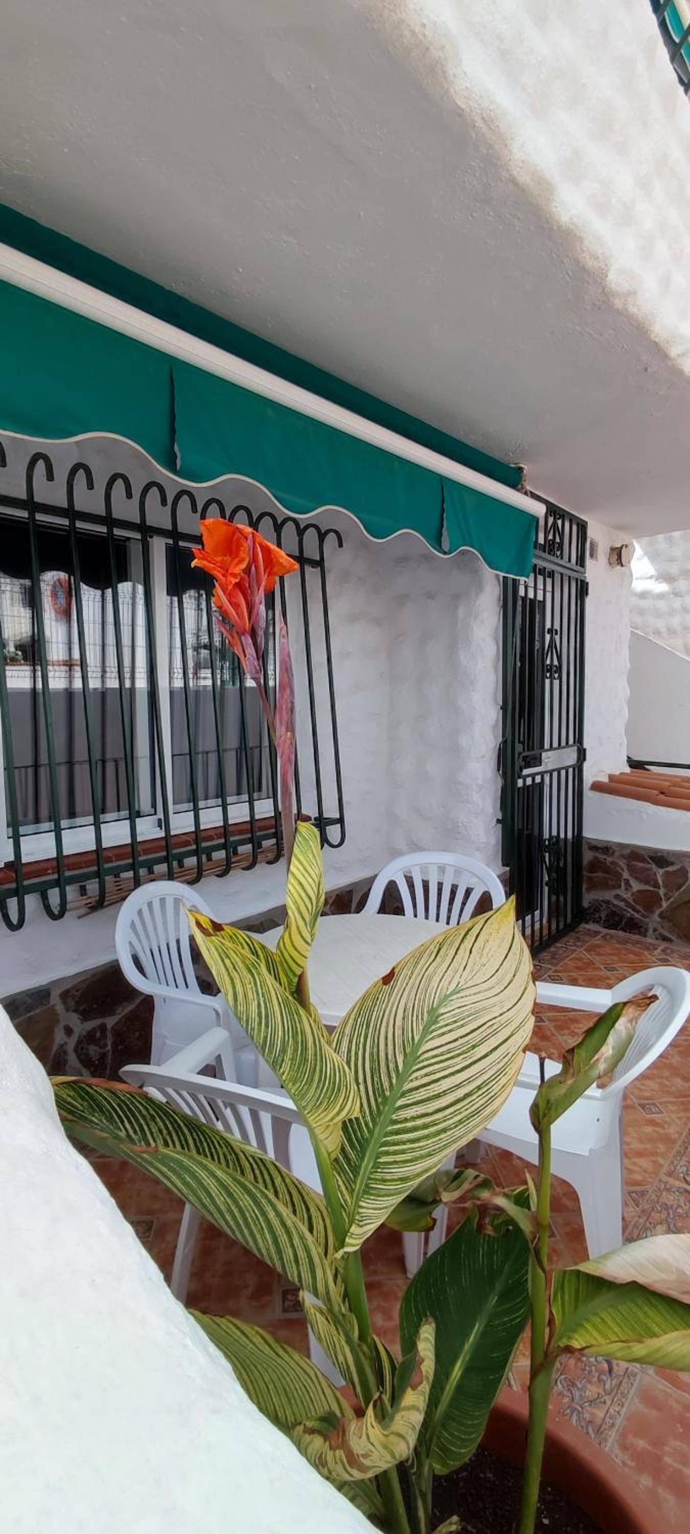 Bungalow Palo Blanco Ocean View 250 m to the beach