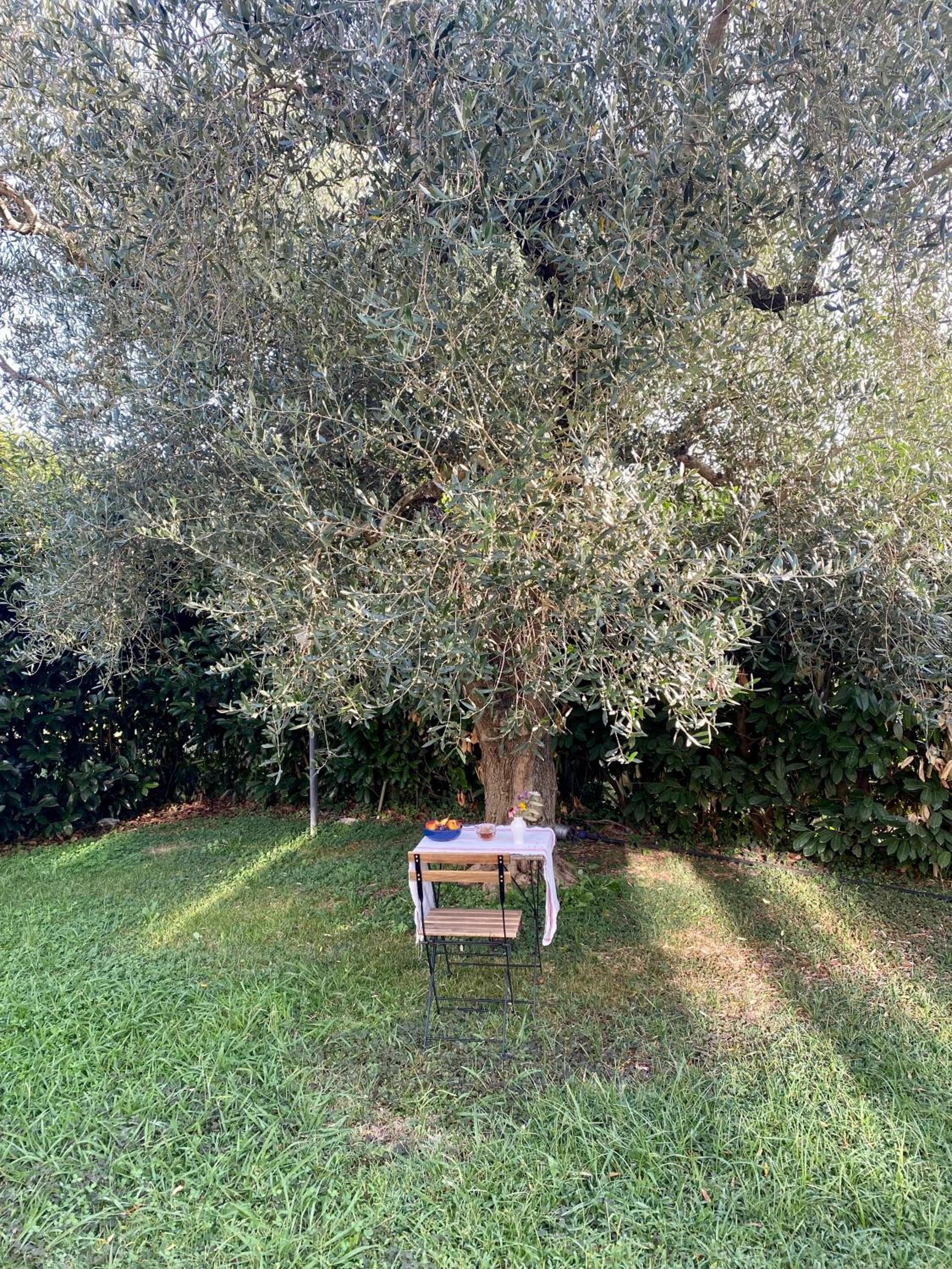 La Locanda Del Tevere Slow tourism near Rome, photo 14