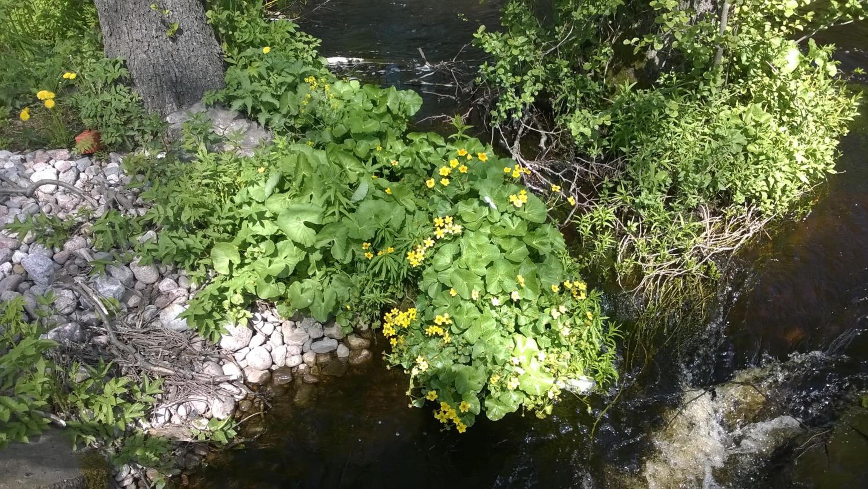 Kirjakkalan Ruukkikylä