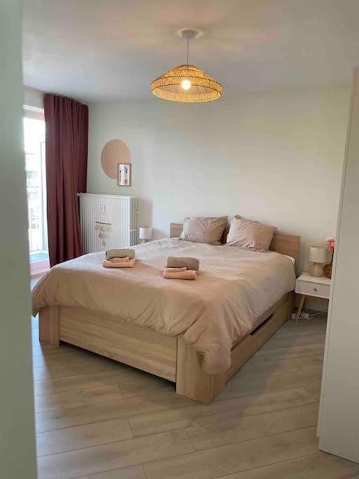 Residentie Piccadilly 2 slpk appartement te Oostende, 4 tot 5 pers, met terras