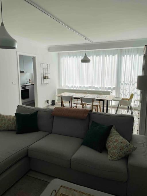 Residentie Piccadilly 2 slpk appartement te Oostende, 4 tot 5 pers, met terras