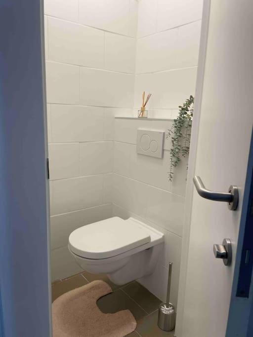 Residentie Piccadilly 2 slpk appartement te Oostende, 4 tot 5 pers, met terras