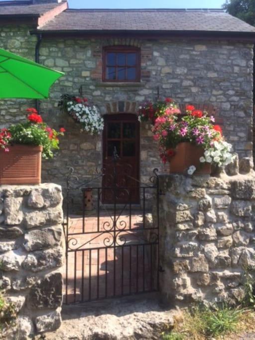 1 Bed cottage The Stable at Llanrhidian Gower with sofa bed for additional guests view 4