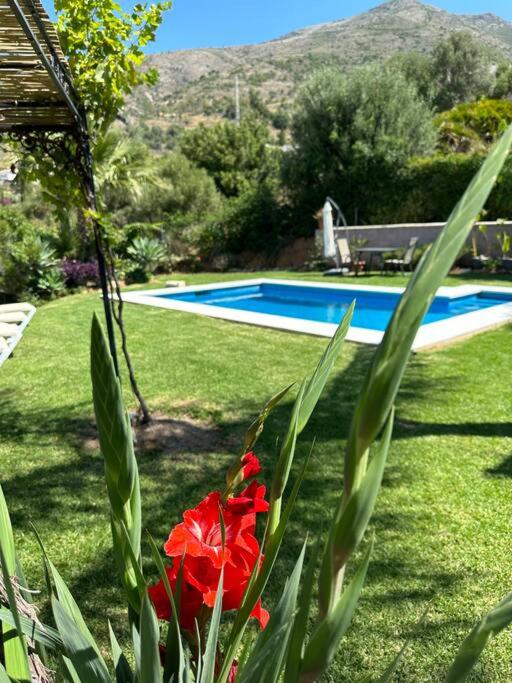 Pool-side chic studio in beautiful countryside