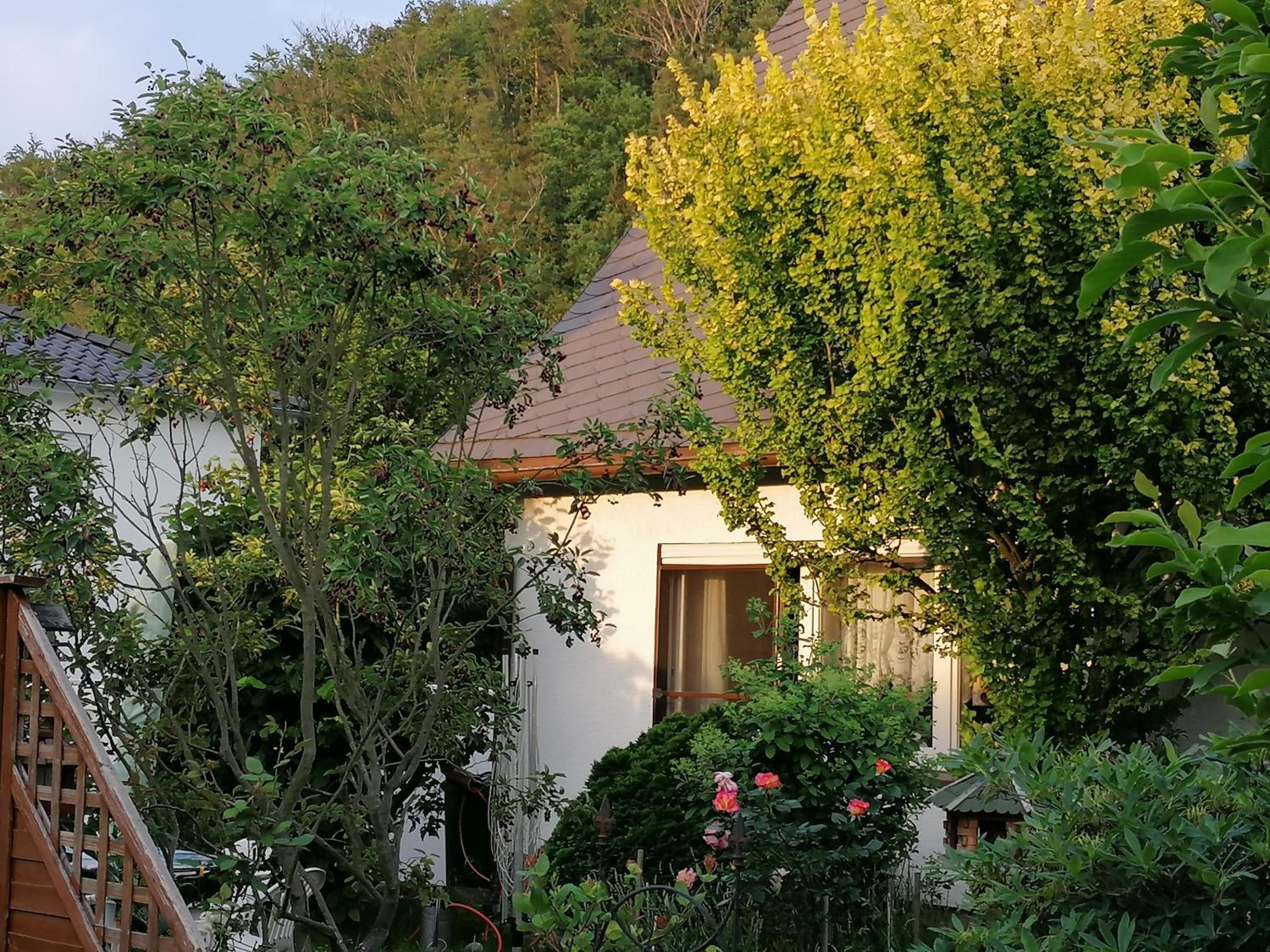 Ferien im Haus am Waldrand