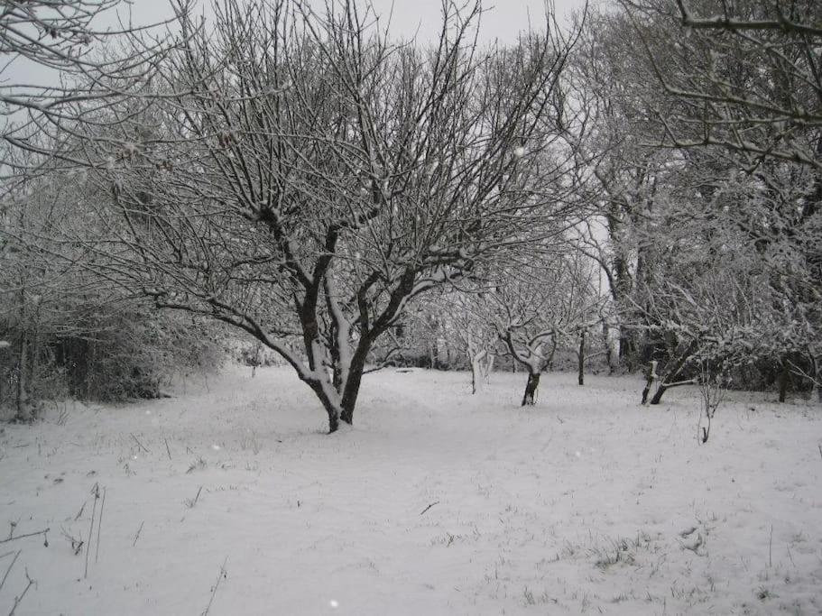 Photo 46